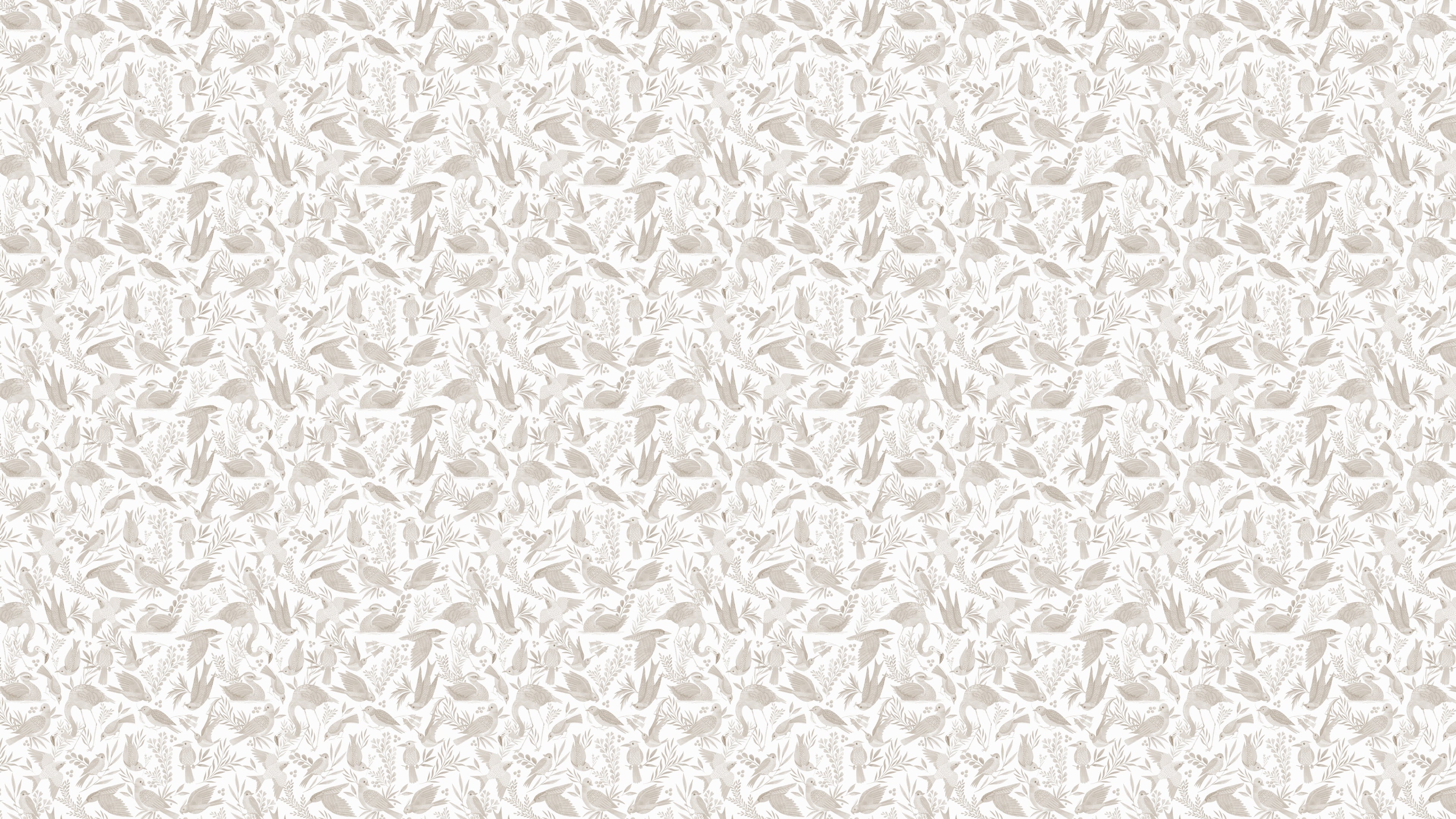 Birdwatcher's Dream - Misty