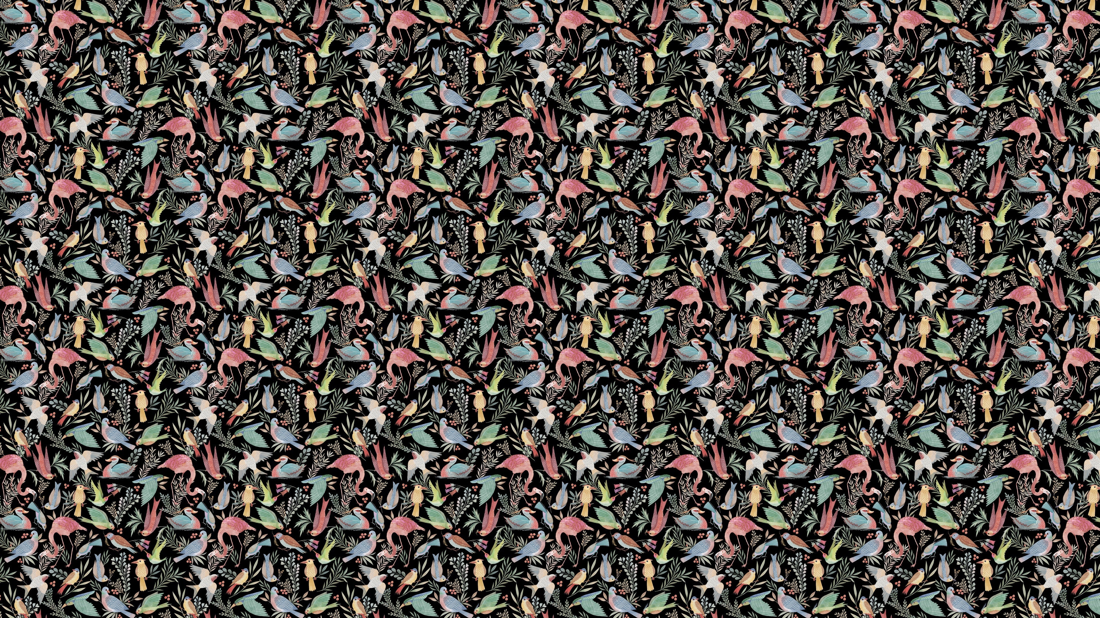 Birdwatcher's Dream - Dark