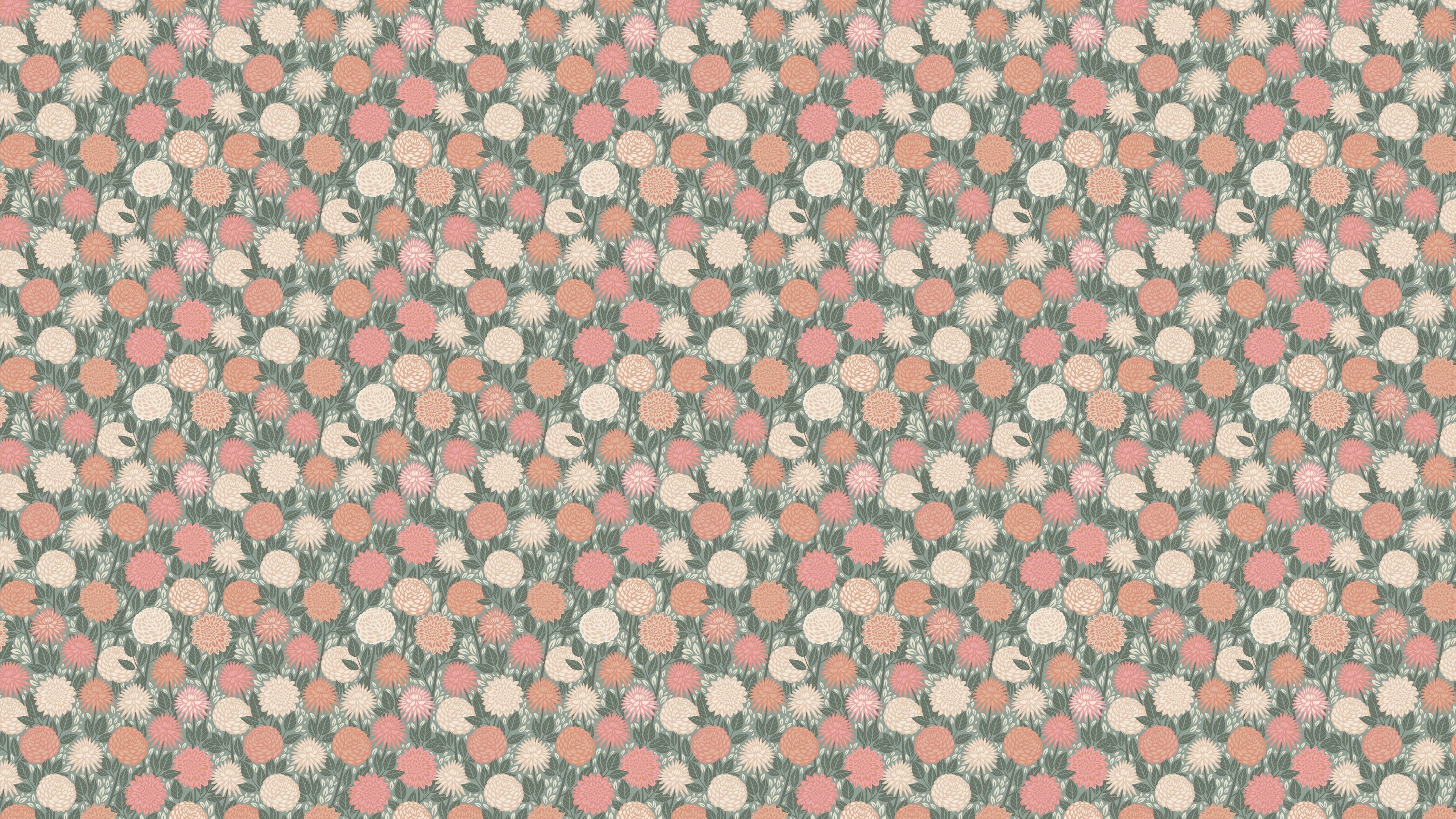 Dahlia Dream - Garden