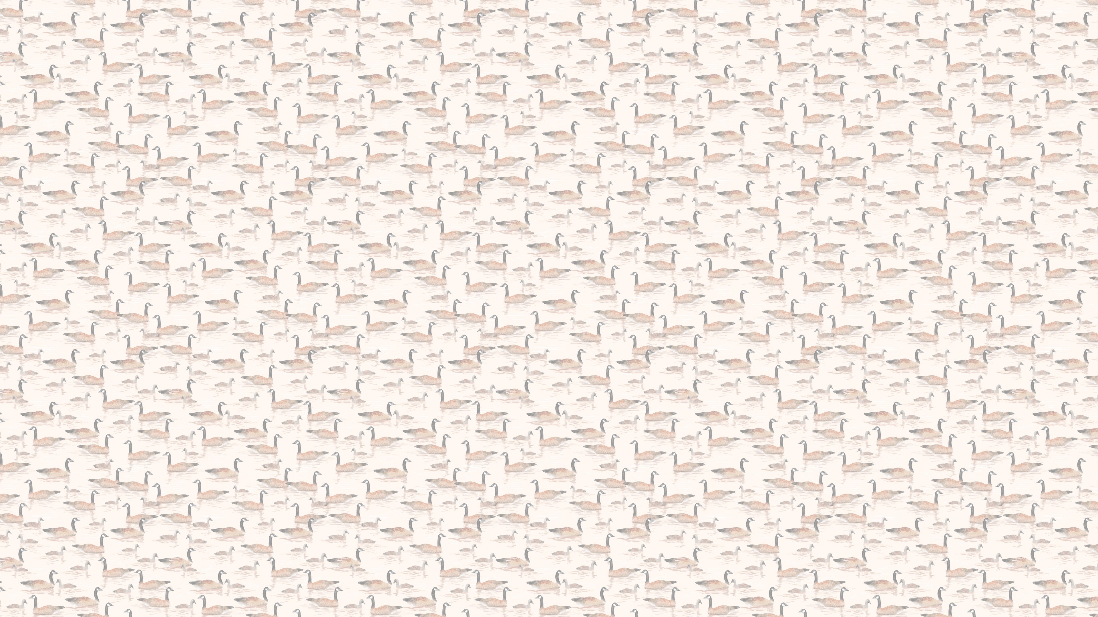 Canada Geese - OffVit