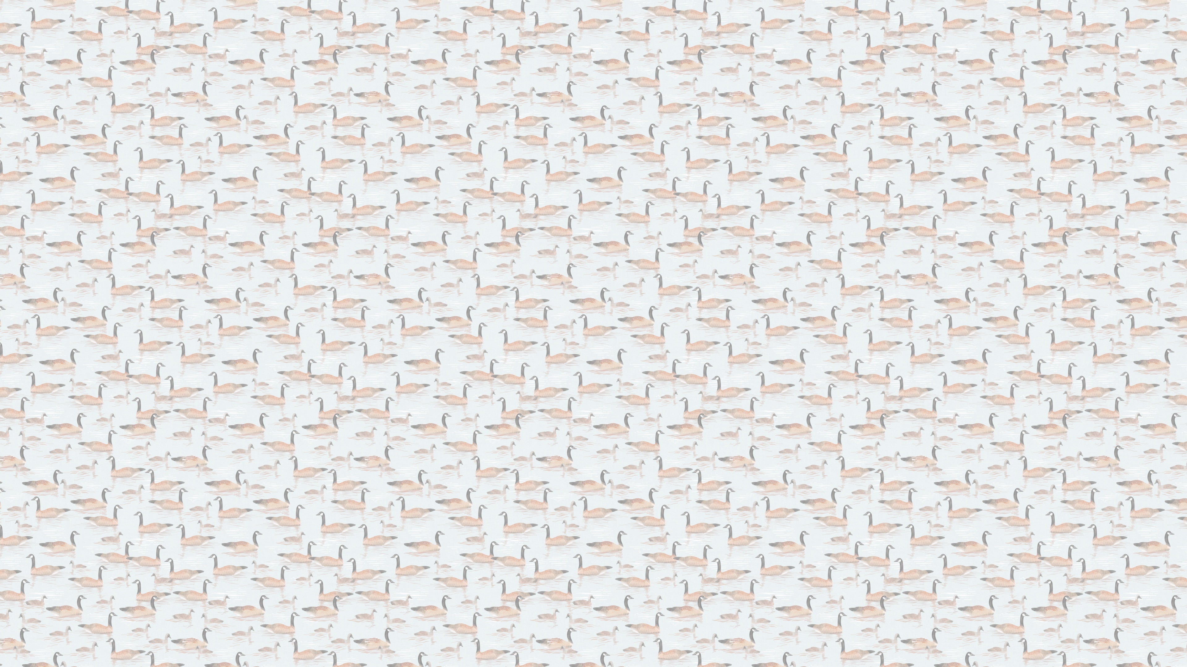 Canada Geese - Light Blå