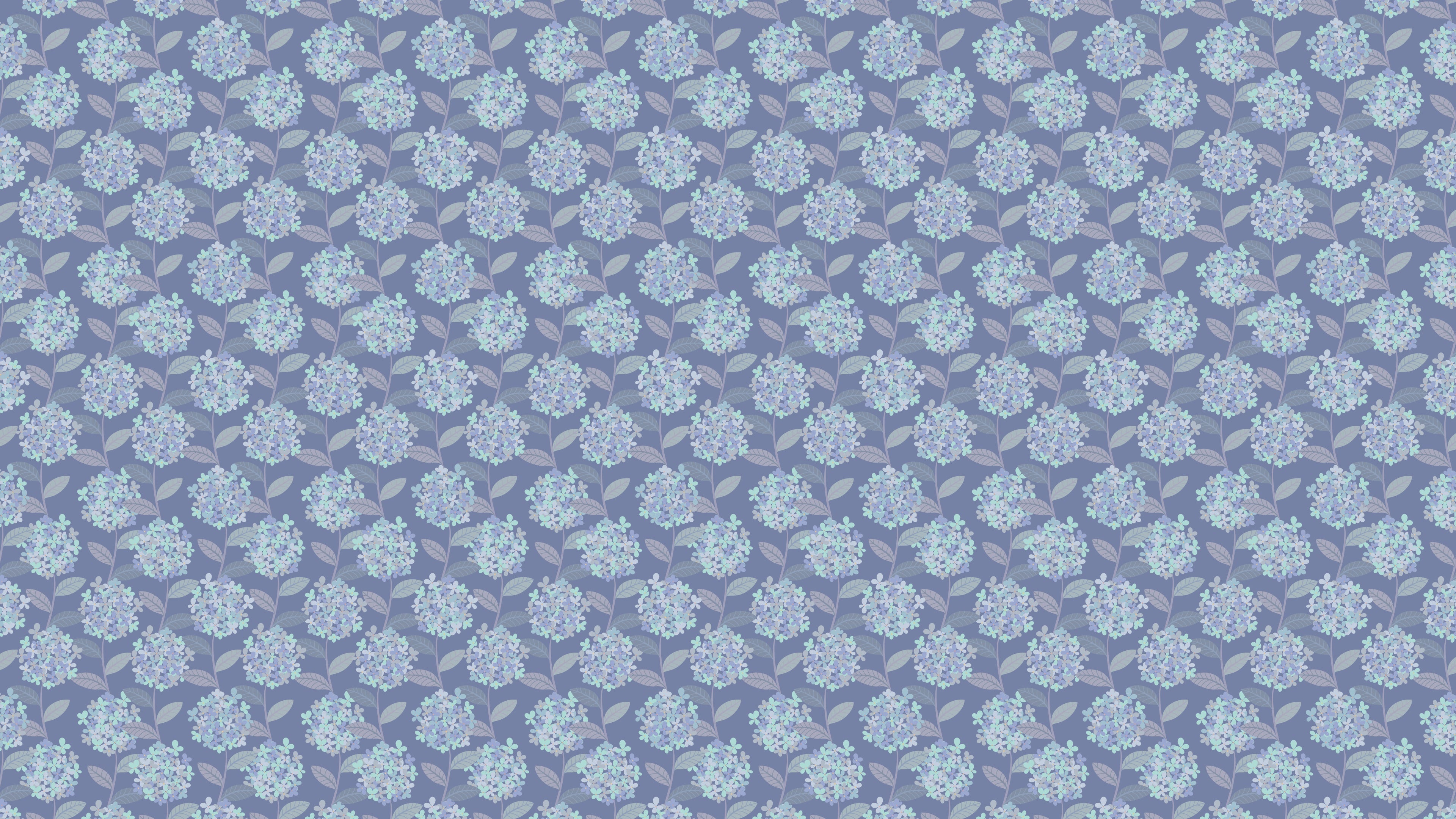 Hortensia - Blå