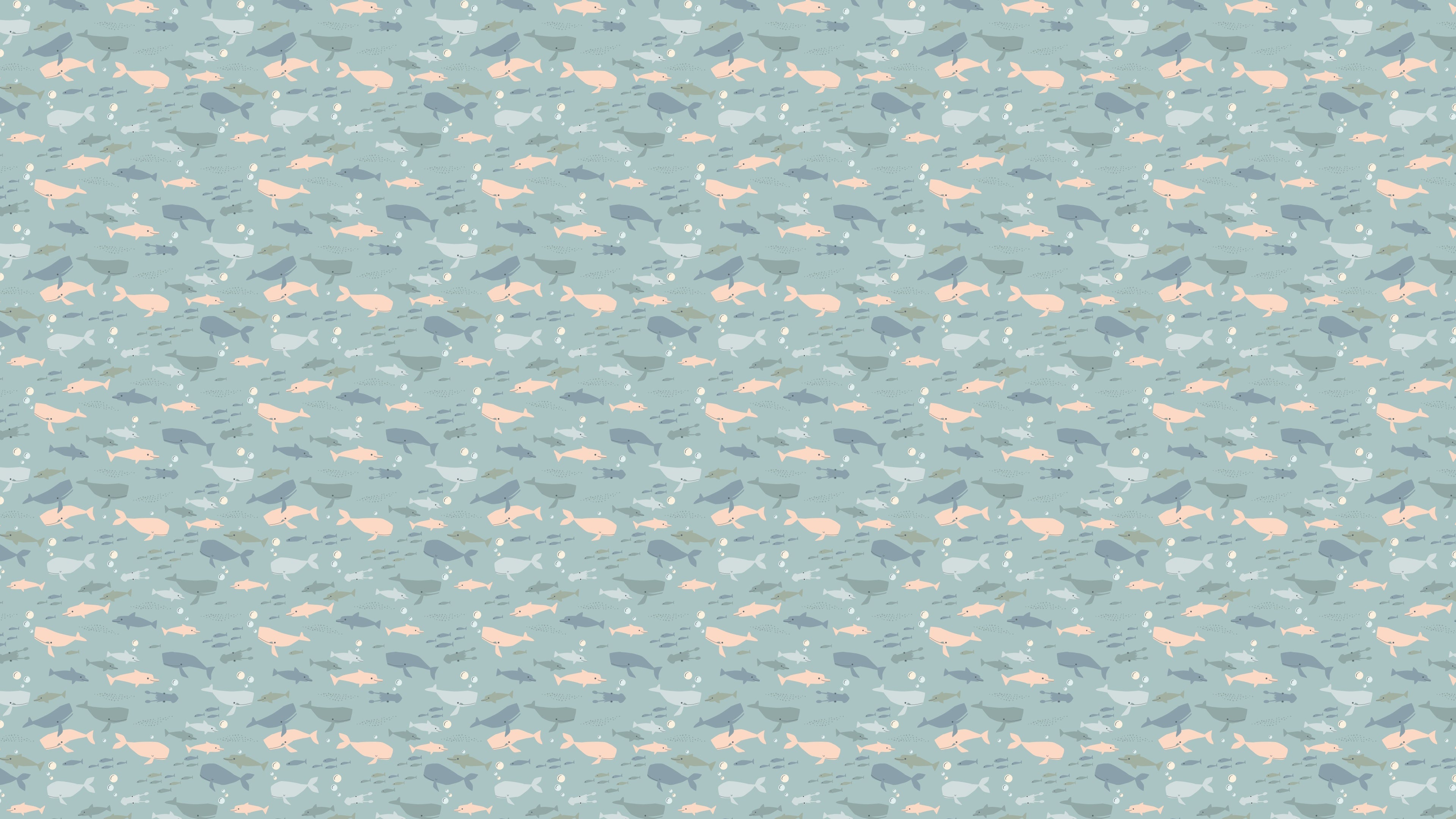 Whale Watching - Sea