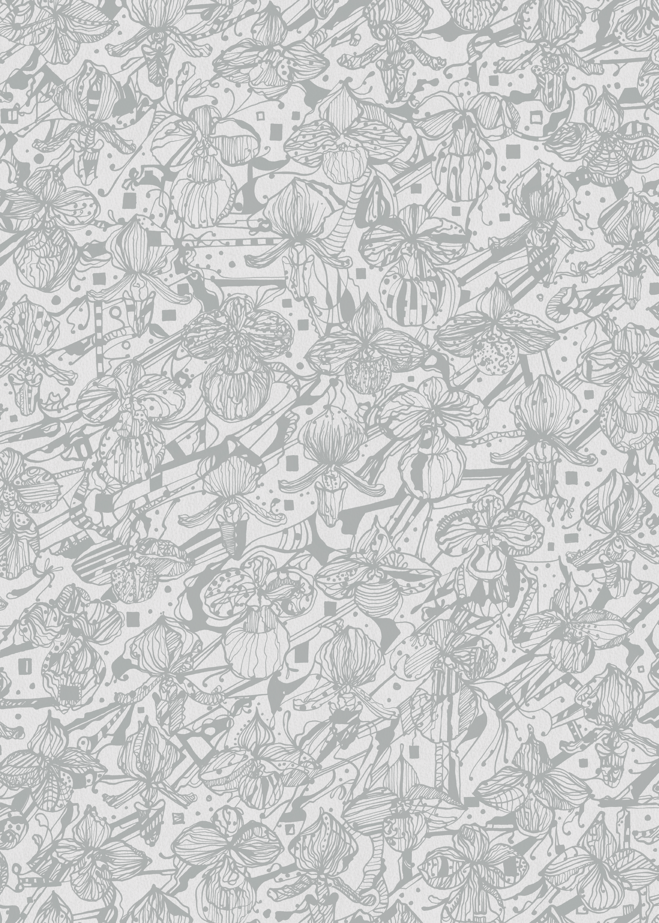 Orkidéblomster - Grå