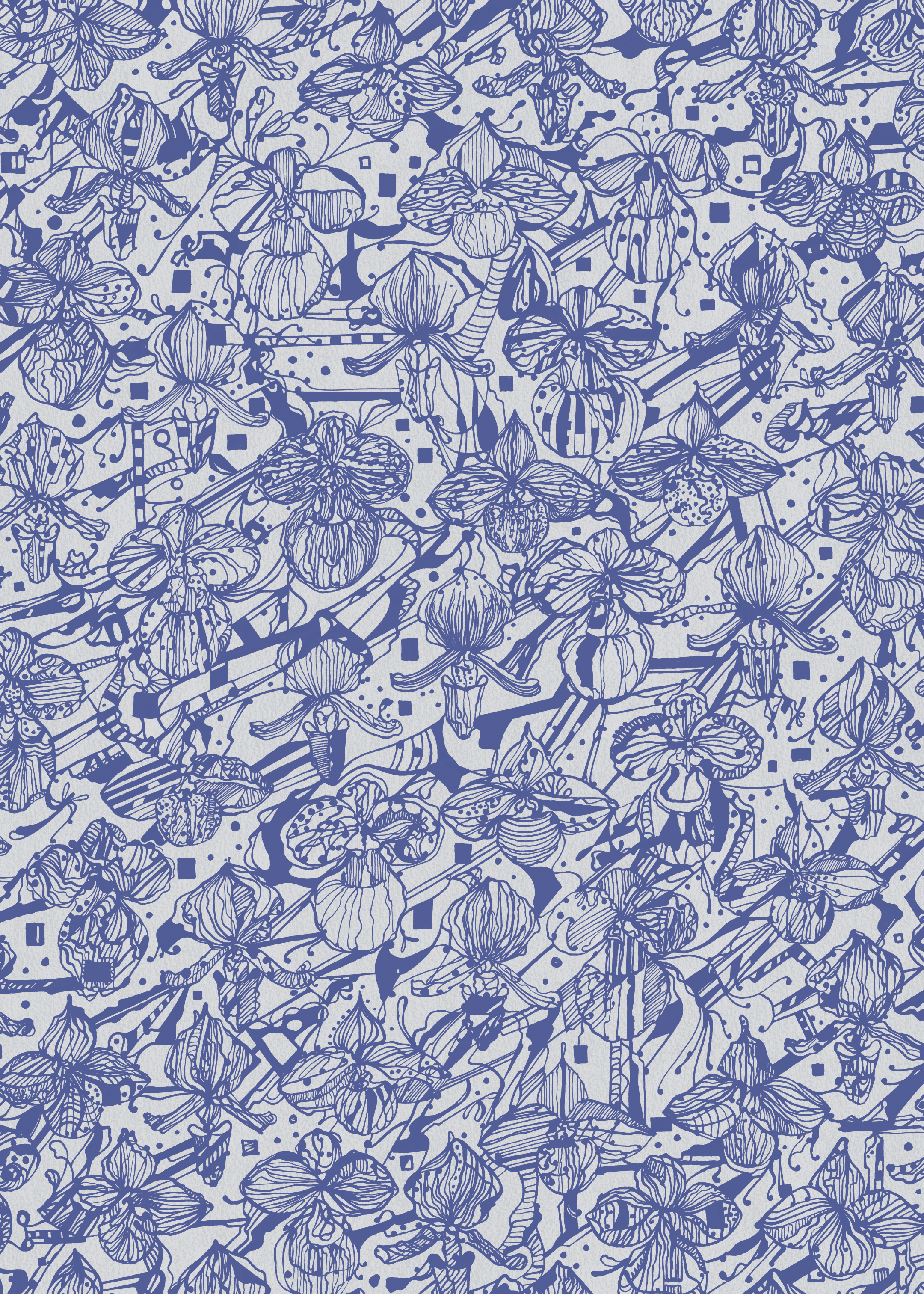 Orkidéblomster - Gråblå