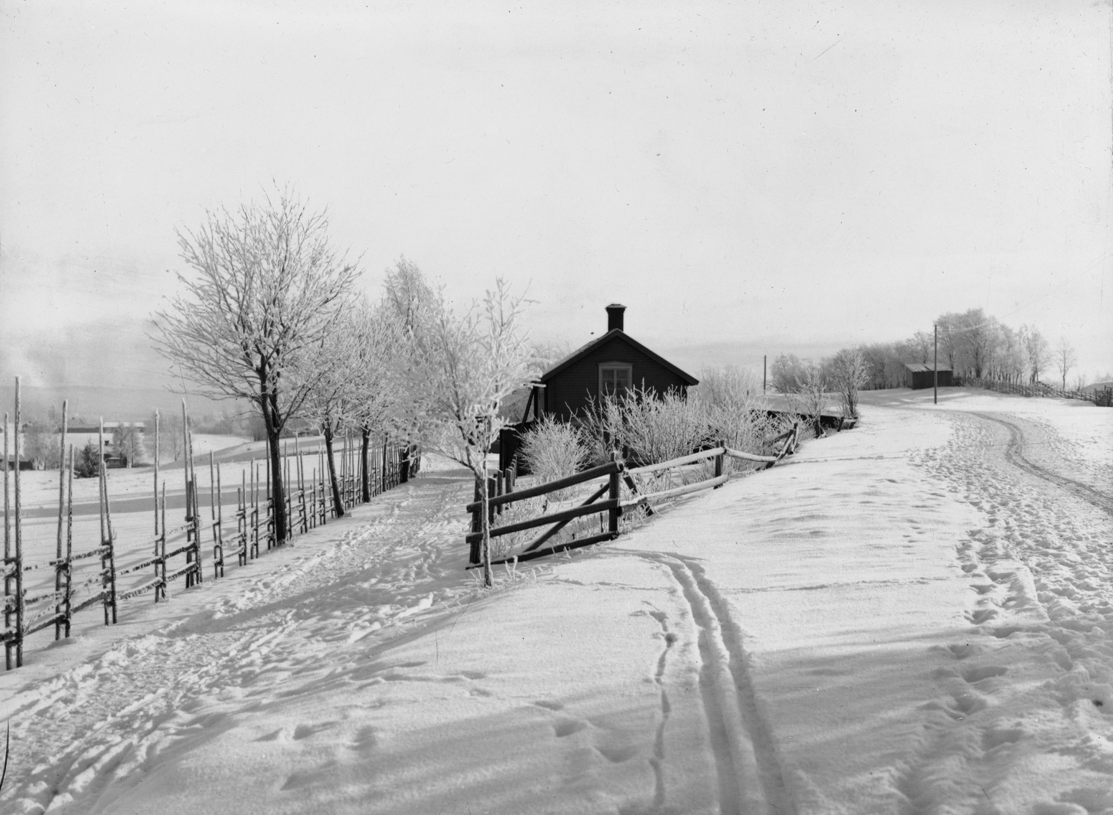 Winter landscape - Småland