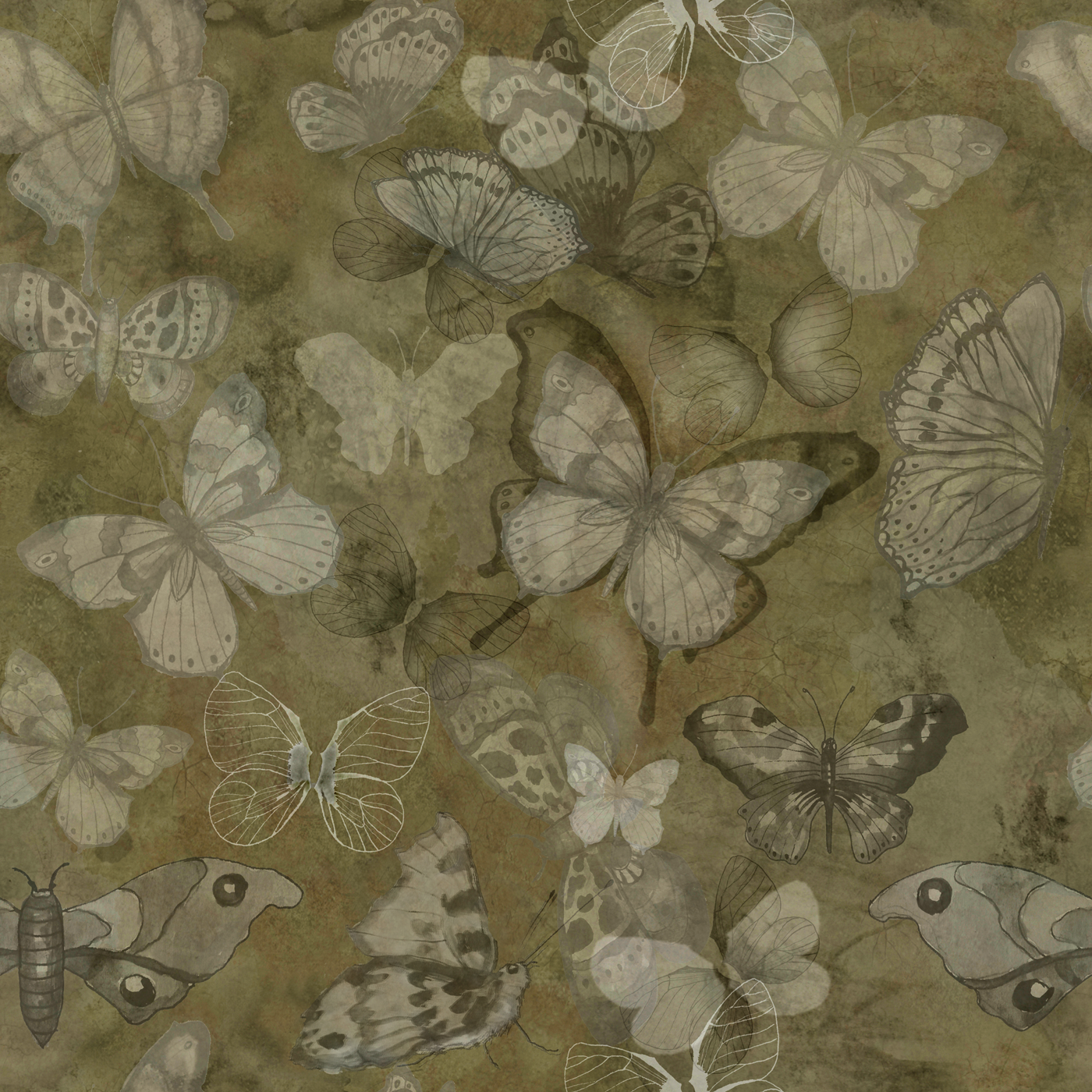 Mariposa - Earth - Fjärilstapet i akvarell med melerad bakgrund
