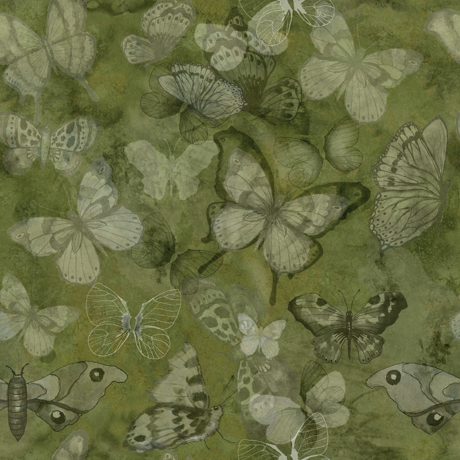 Mariposa - Kiwi – Tapet med handmålade fjärilar