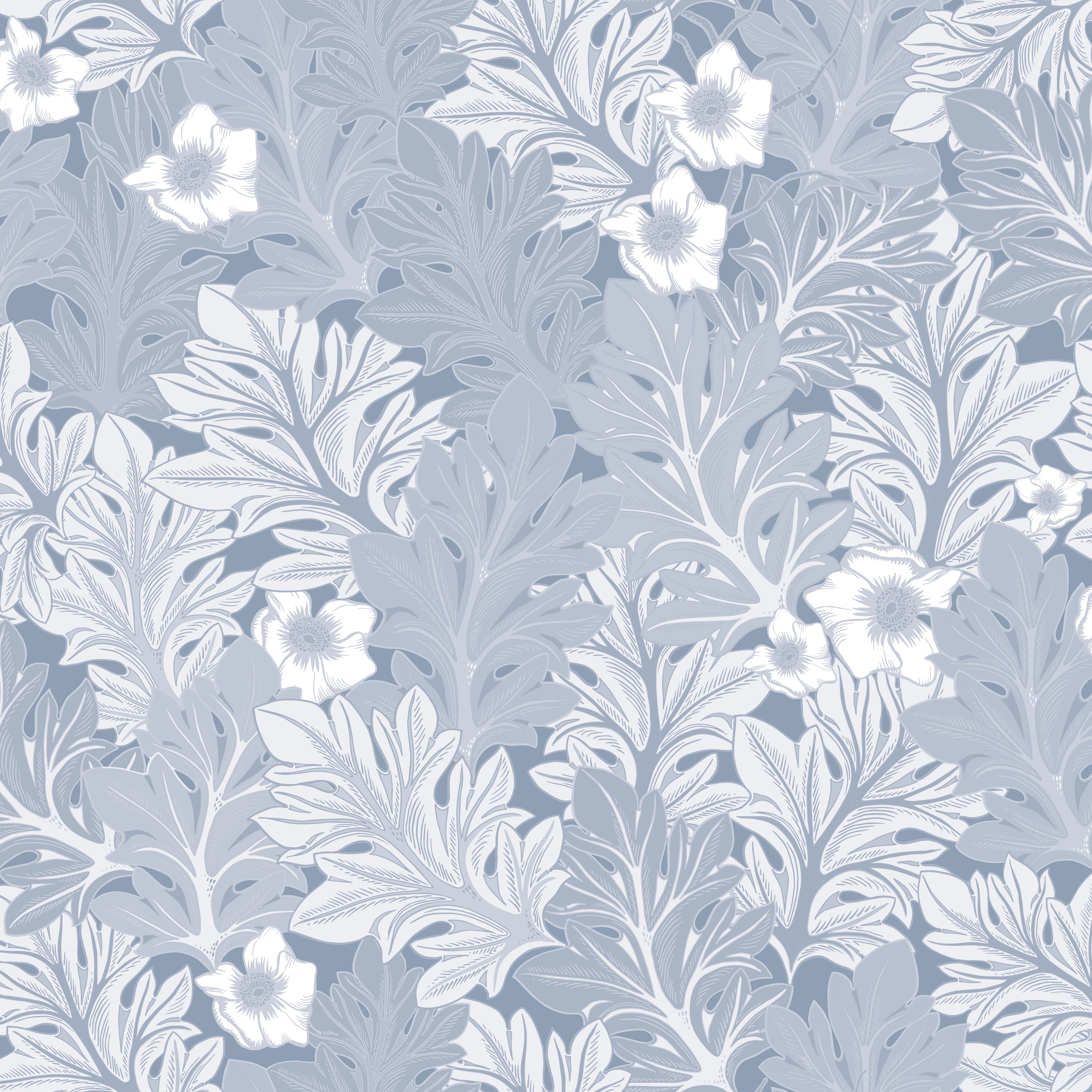 Akantusblomma - Duva