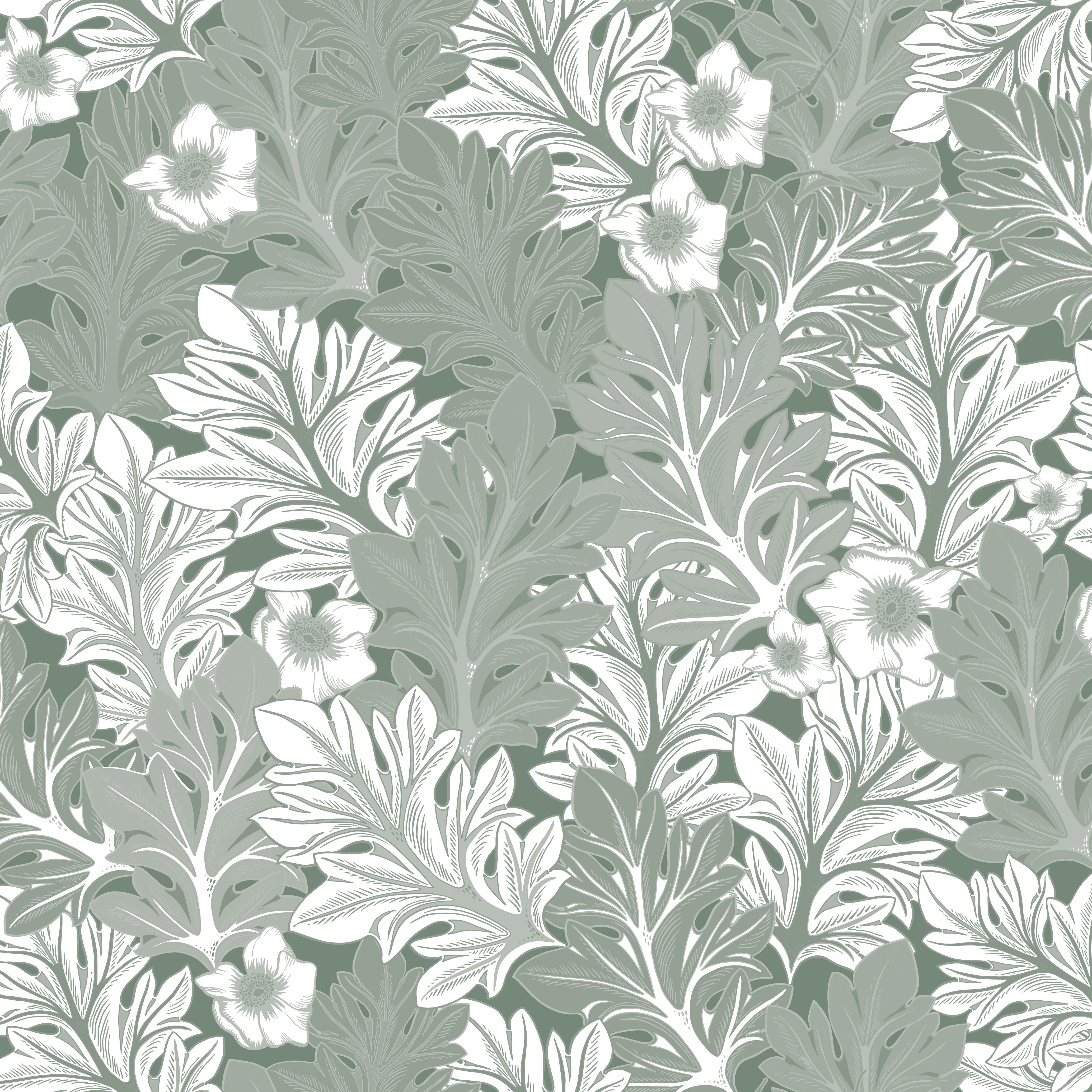 Akantusblomma - Mossa