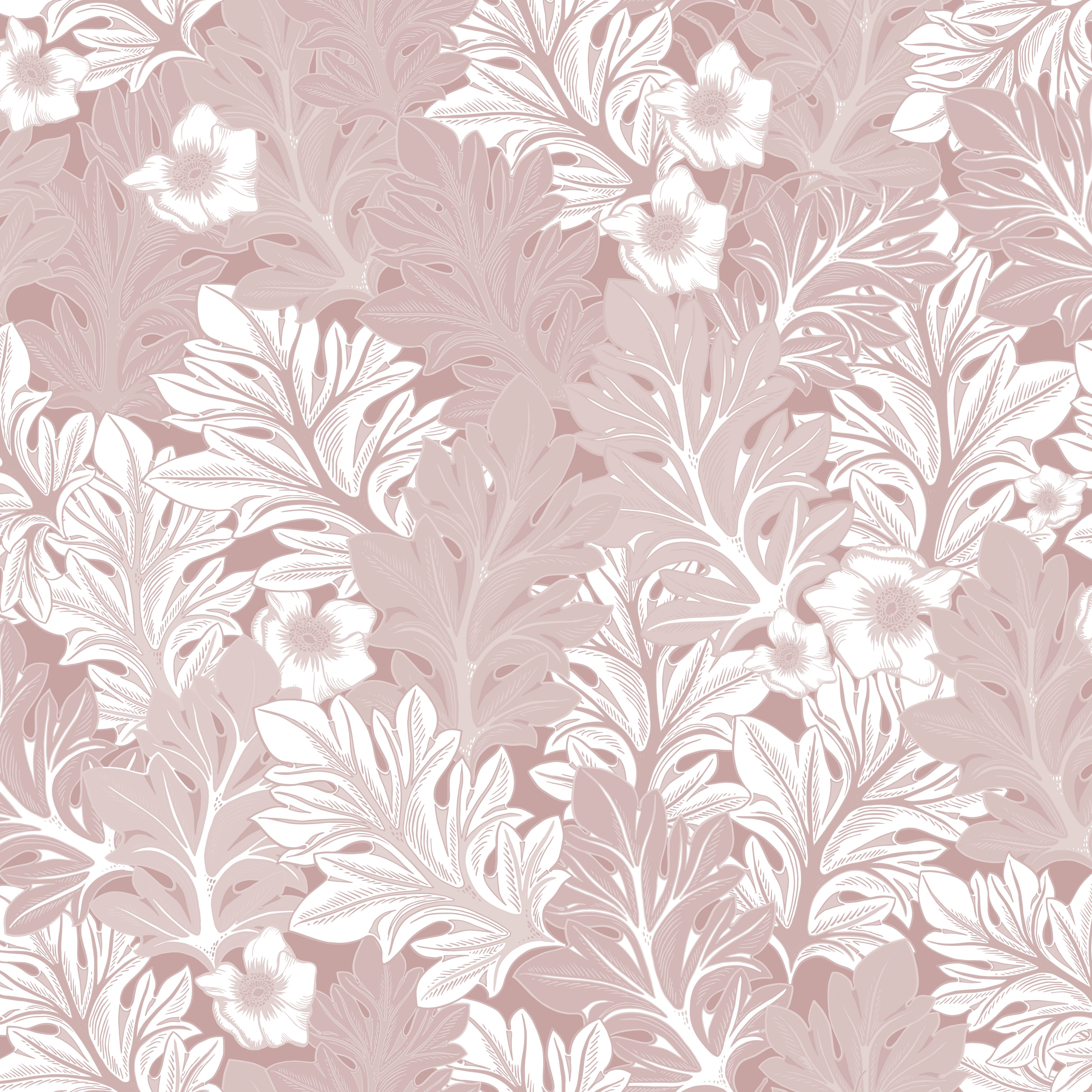 Akantusblomma - Spirit