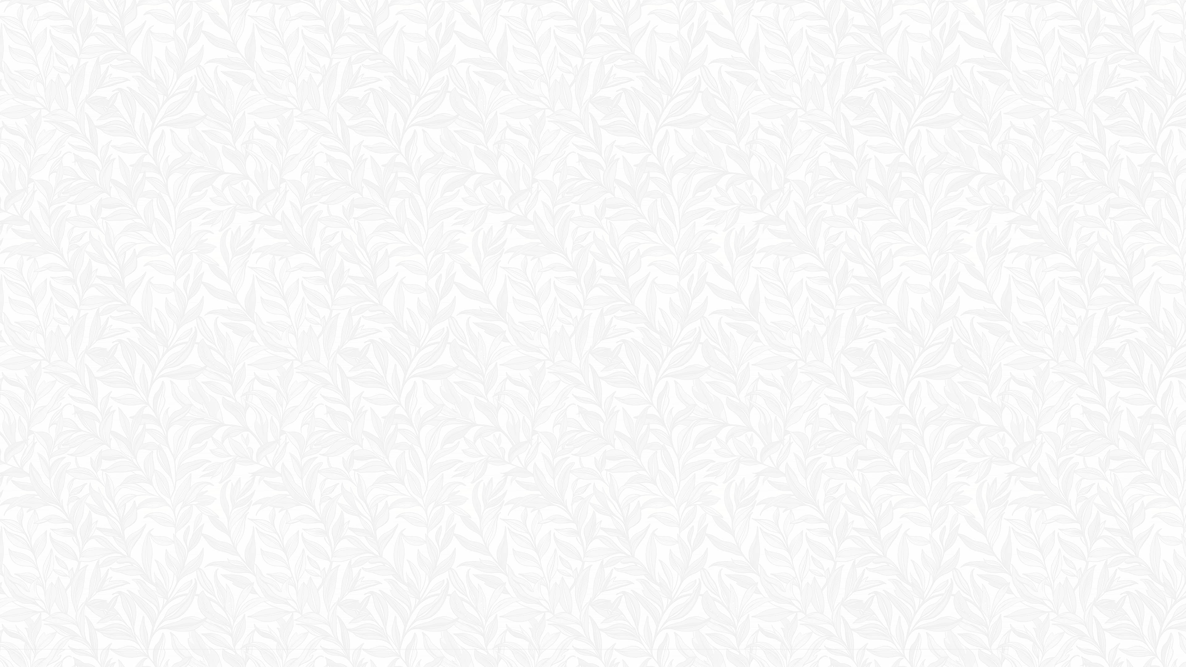 Boughs - Vit - Elegant tapet med handritade blad i vitt och grått