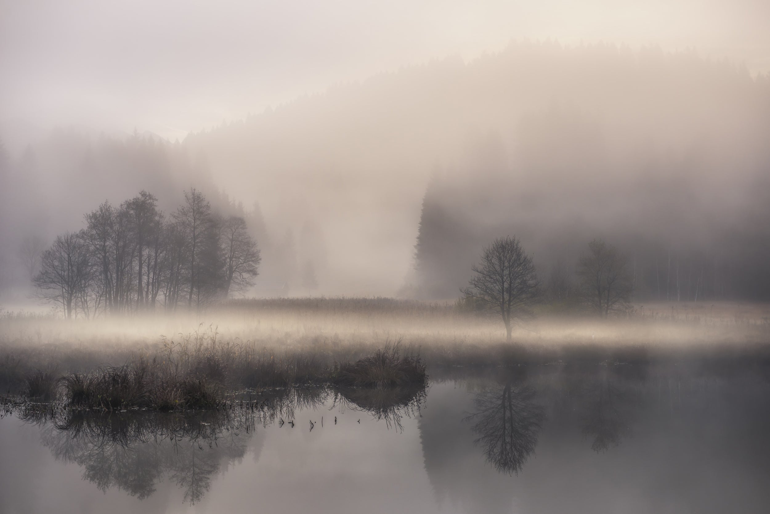 Mystic morning II