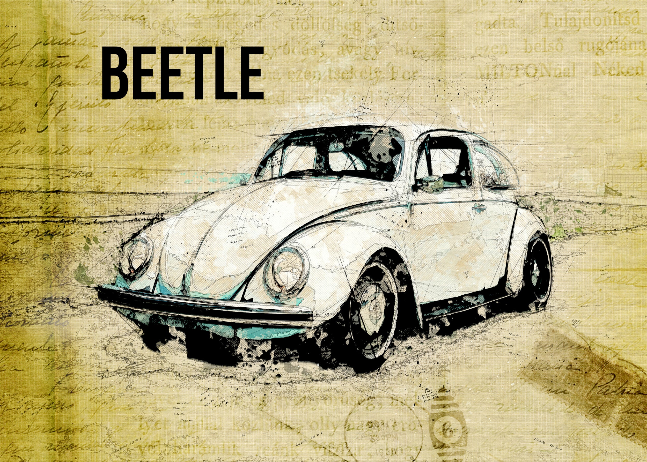 Volkswagen vw beetle