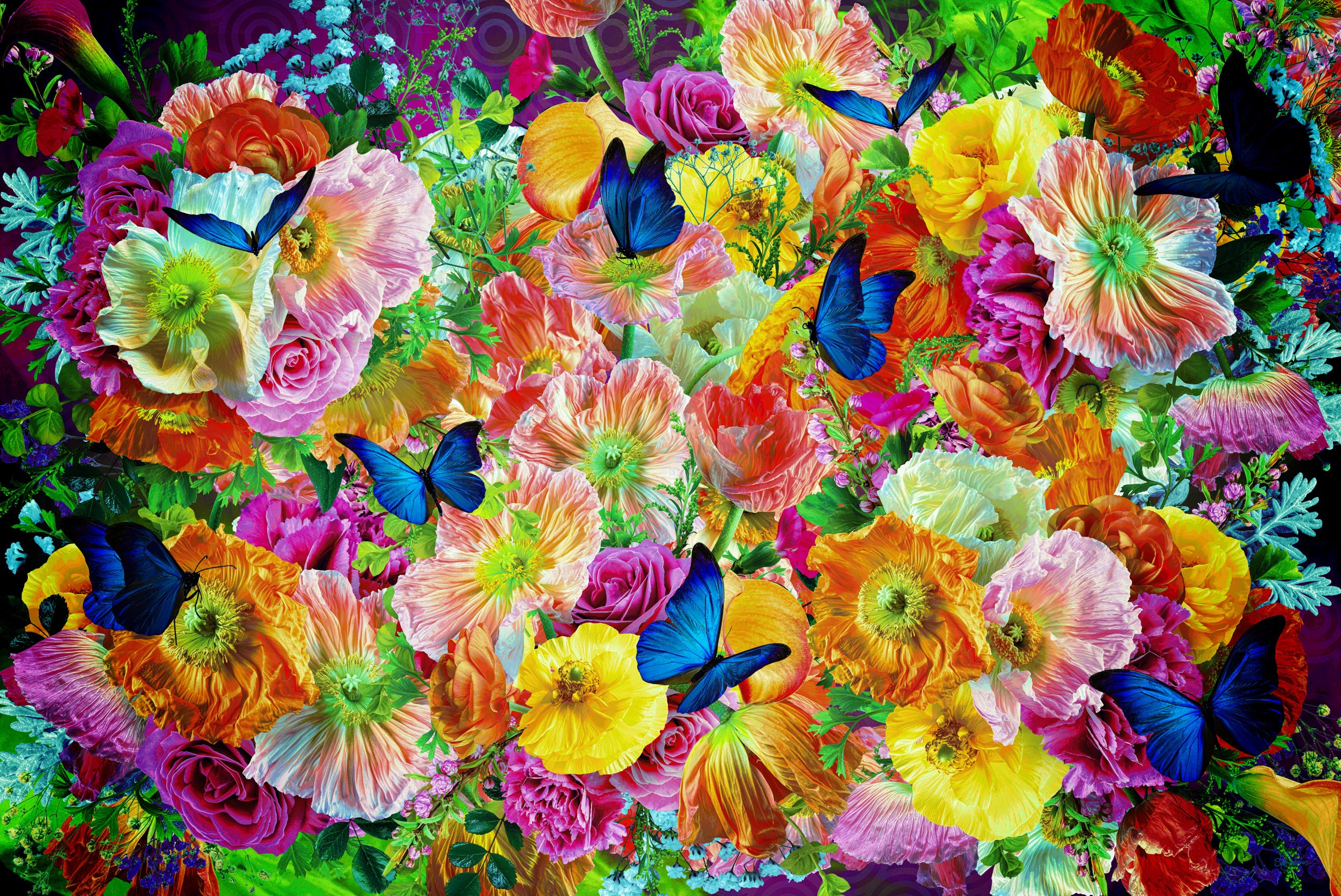 Summer Breeze Cancan