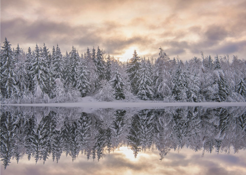 Serene Winter Reflection