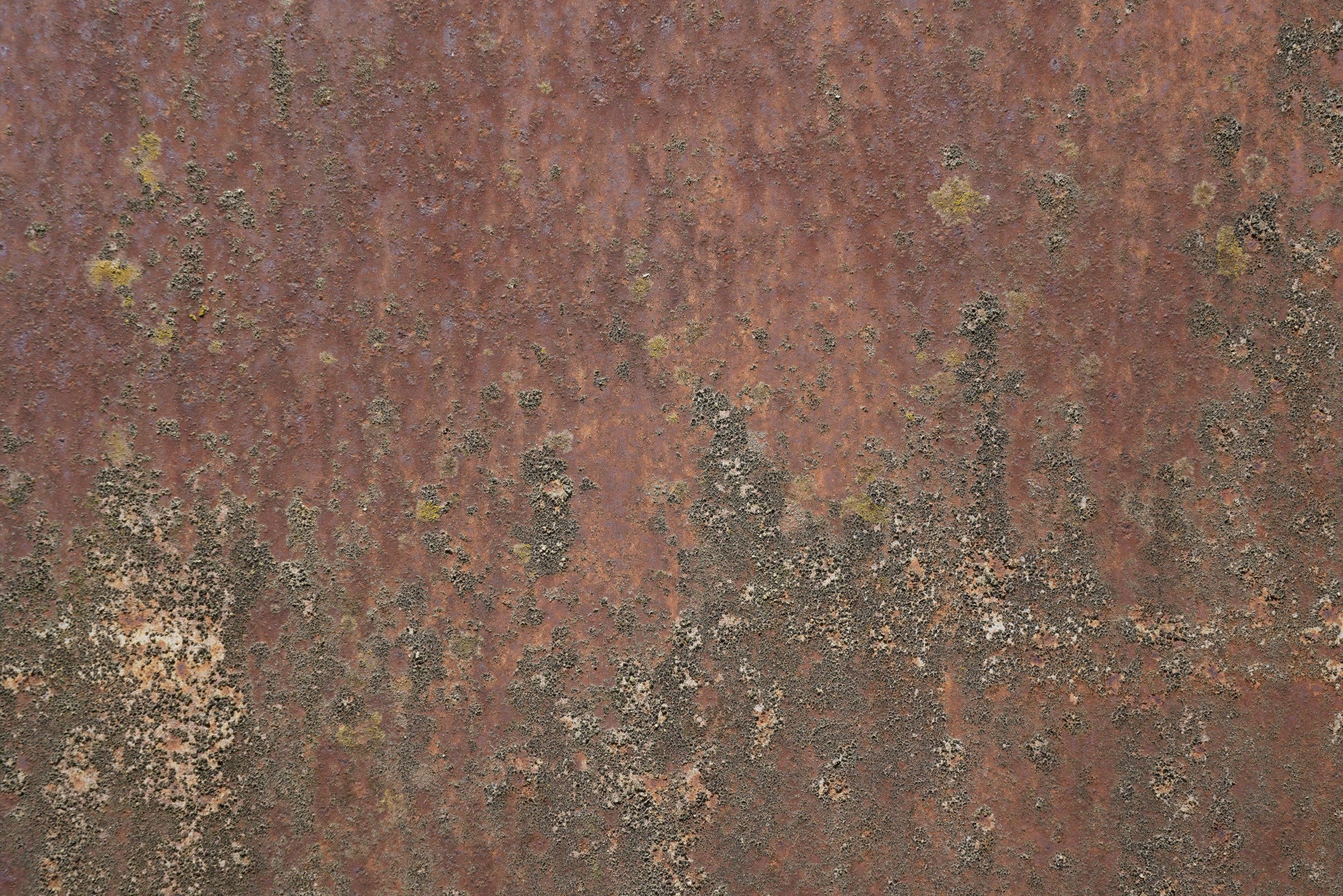 Rust 27