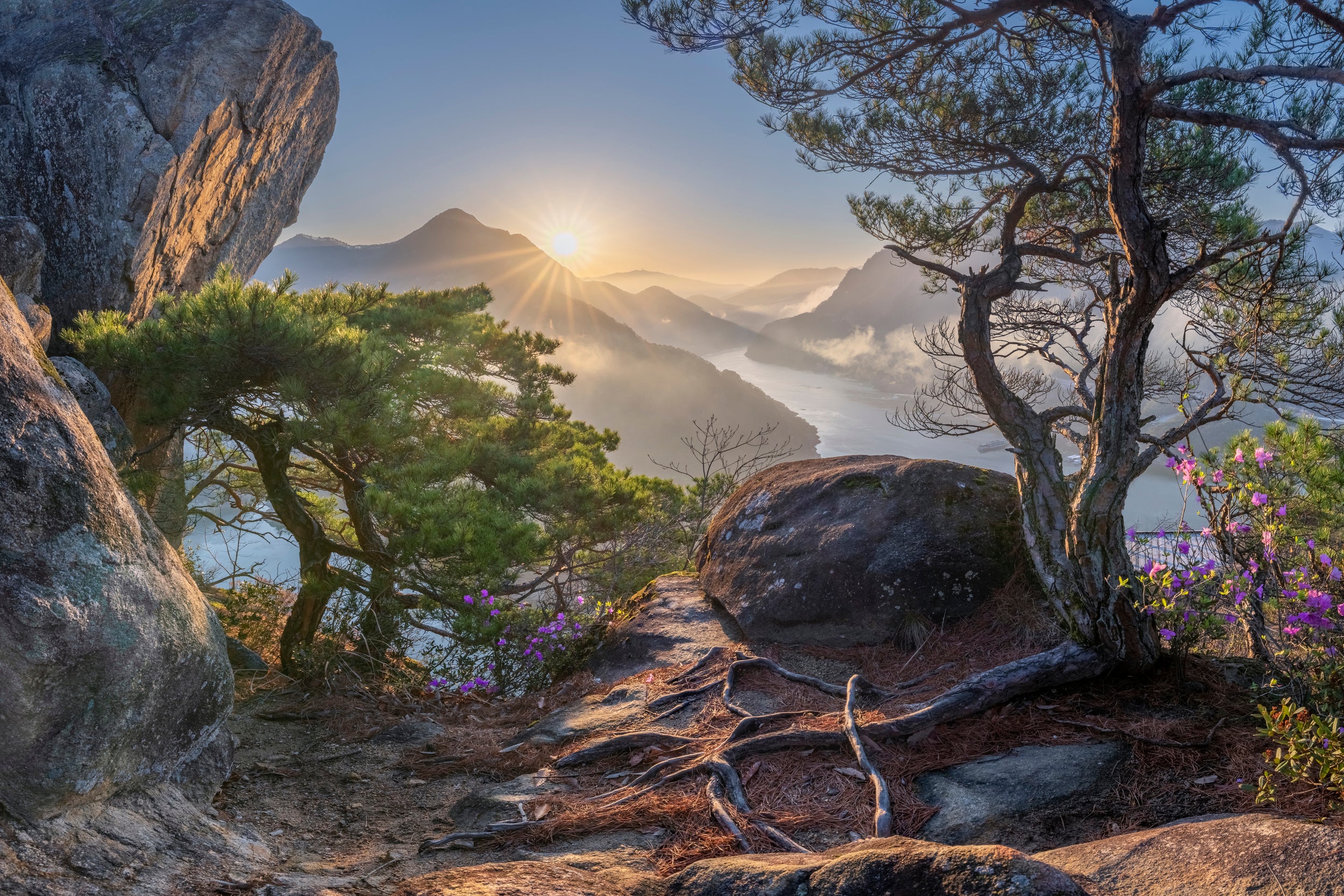 Spring, elements of life