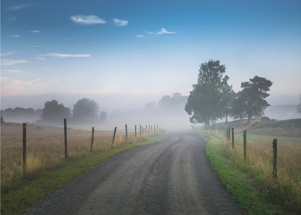 Misty Morning Road