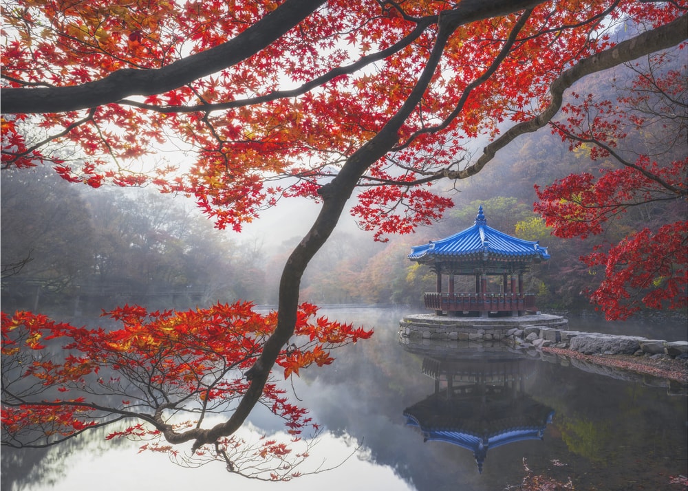 Tranquil Autumn Pagoda