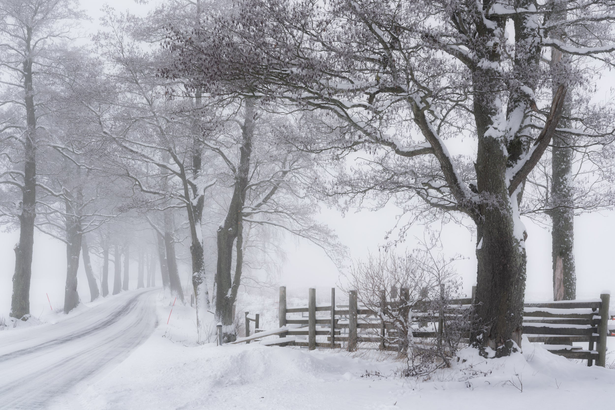 The Long and Winding Road