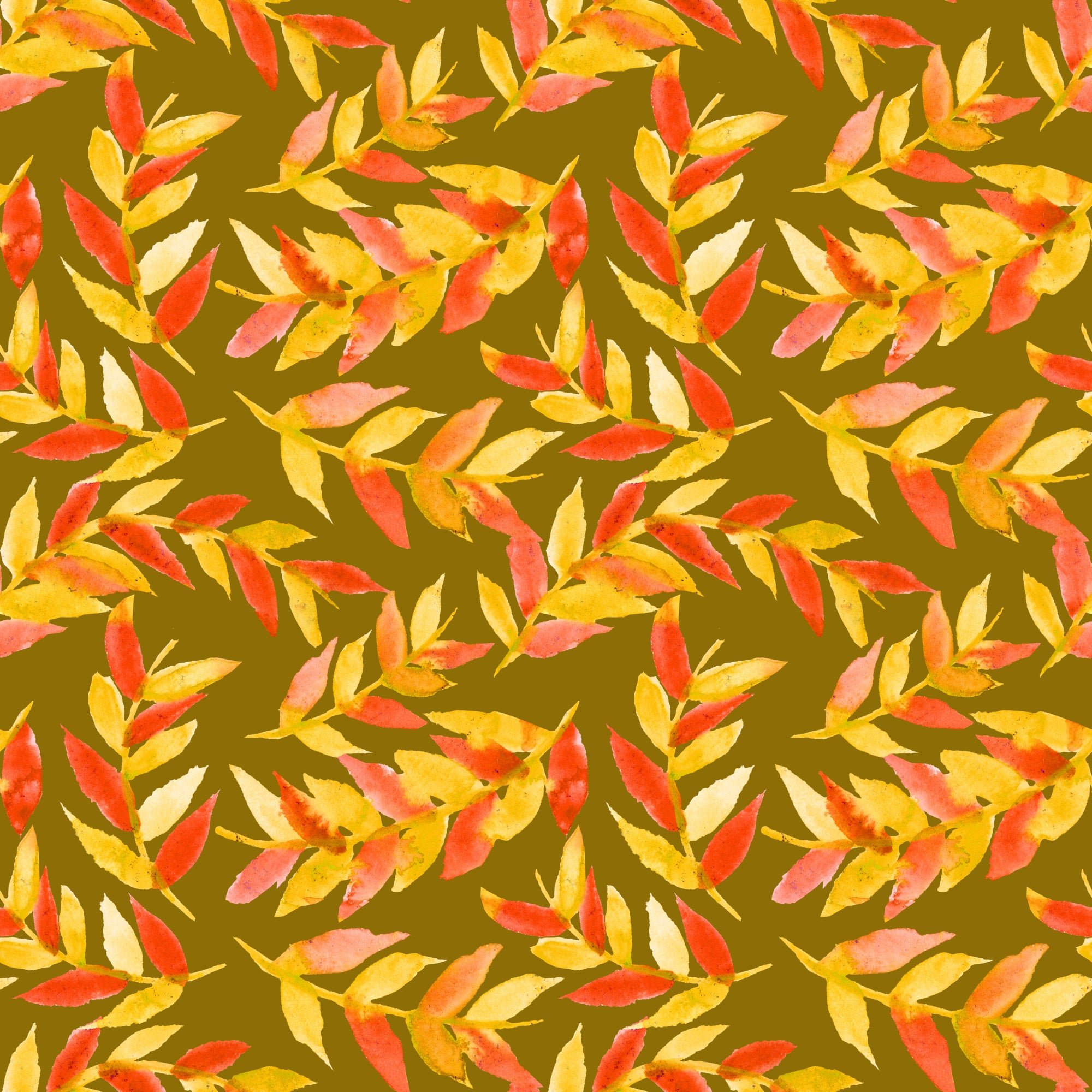 Leaves Curved Yellow Orange On Olive