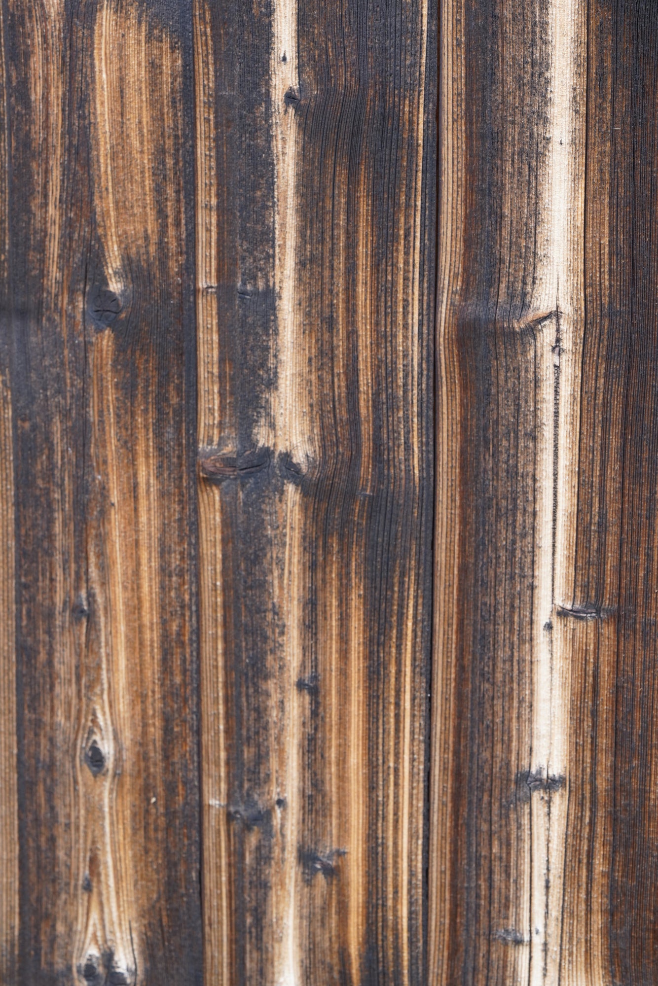 Tex Surface Wood 6
