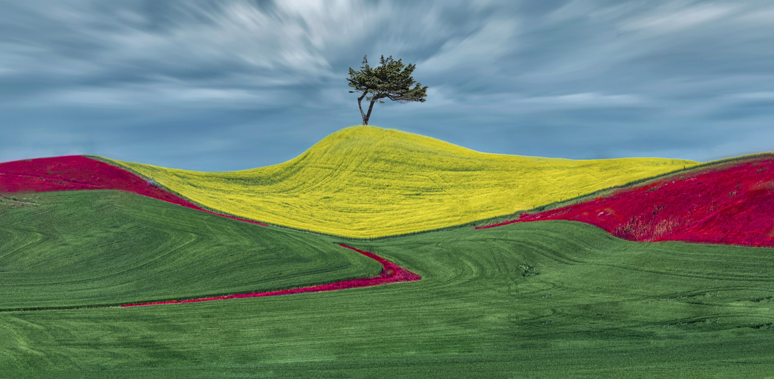 Three Color Wheatlandu