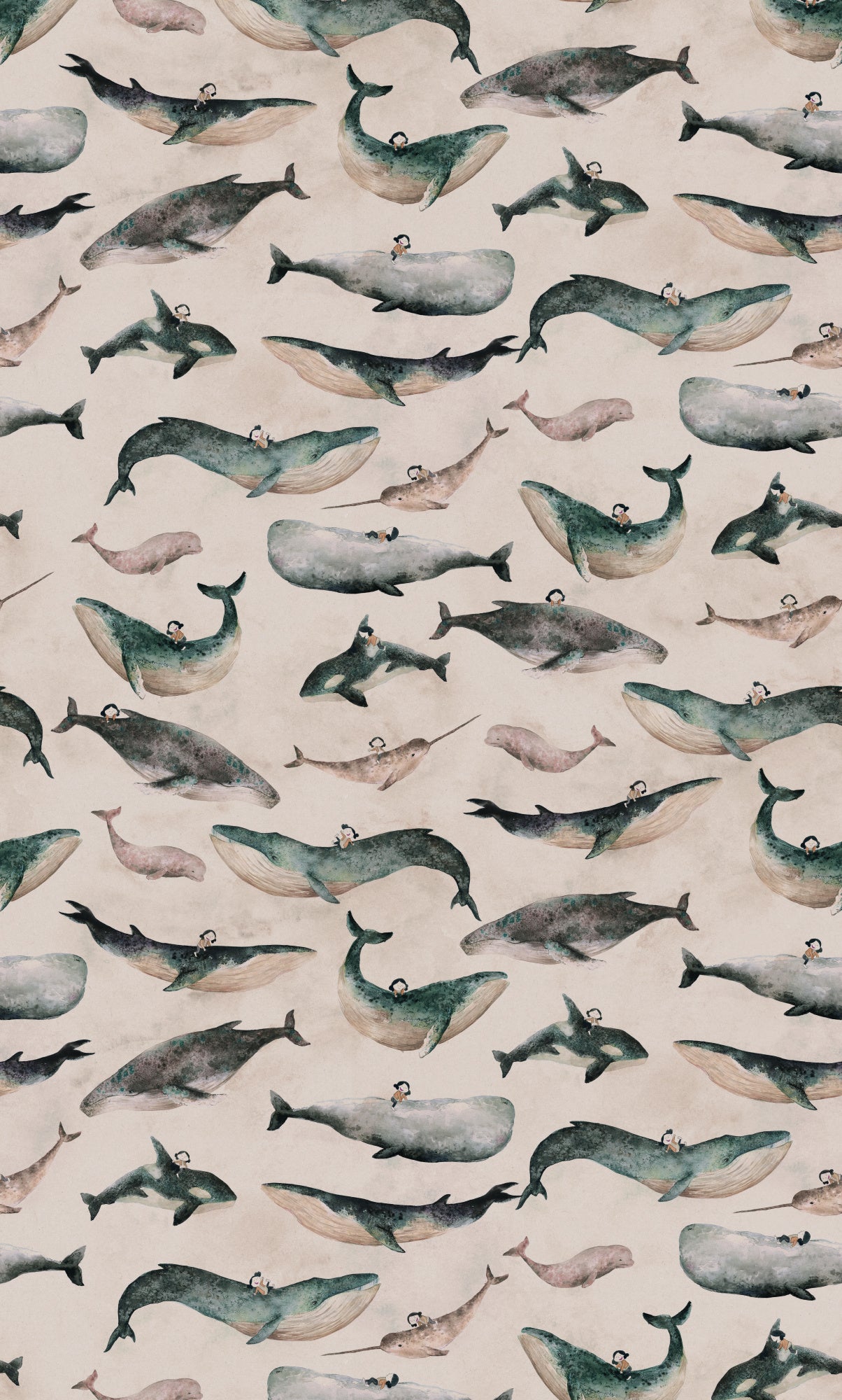 Hl9 Whale Girl 186mm X 3mm