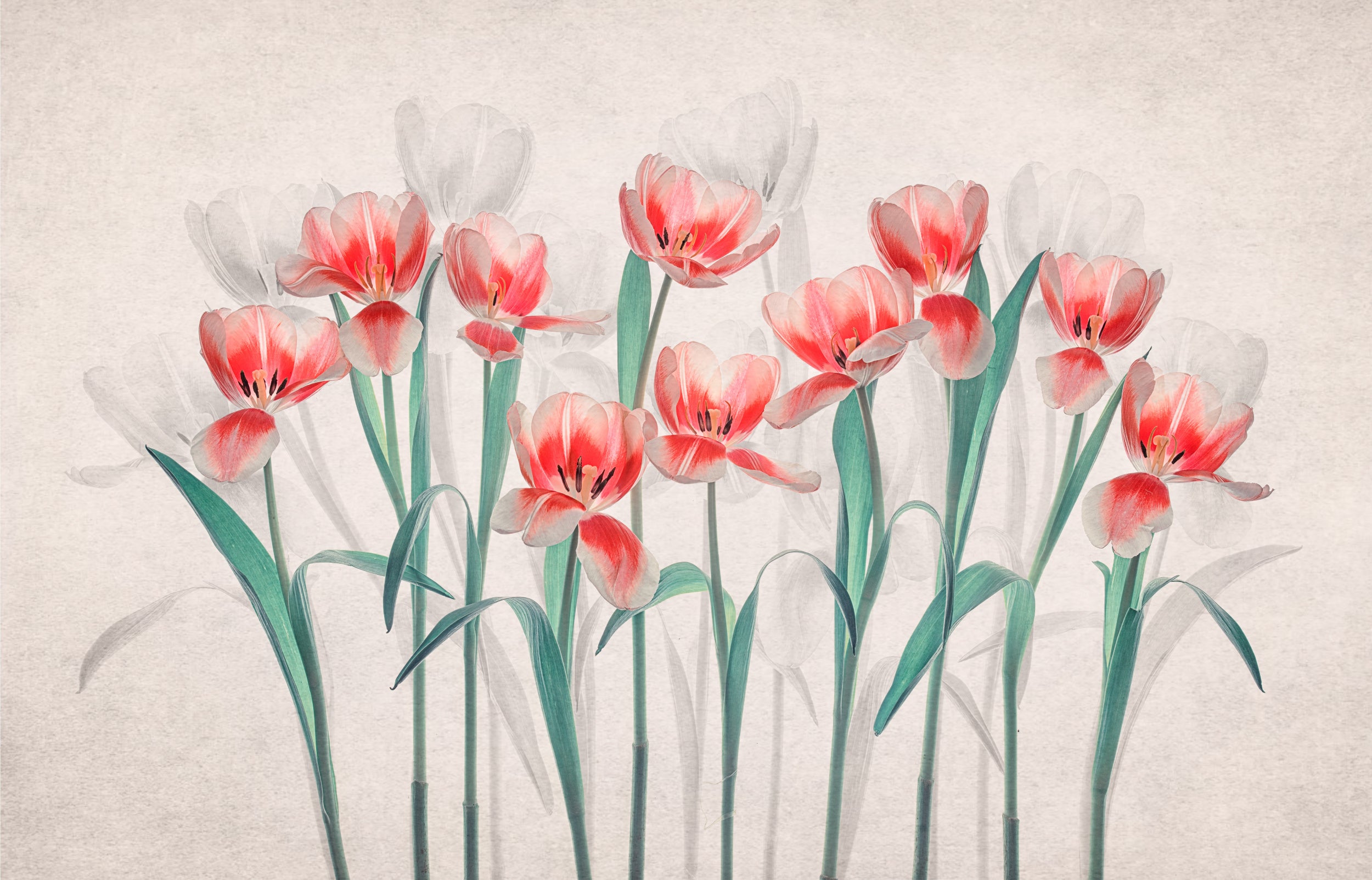 Joy of Spring