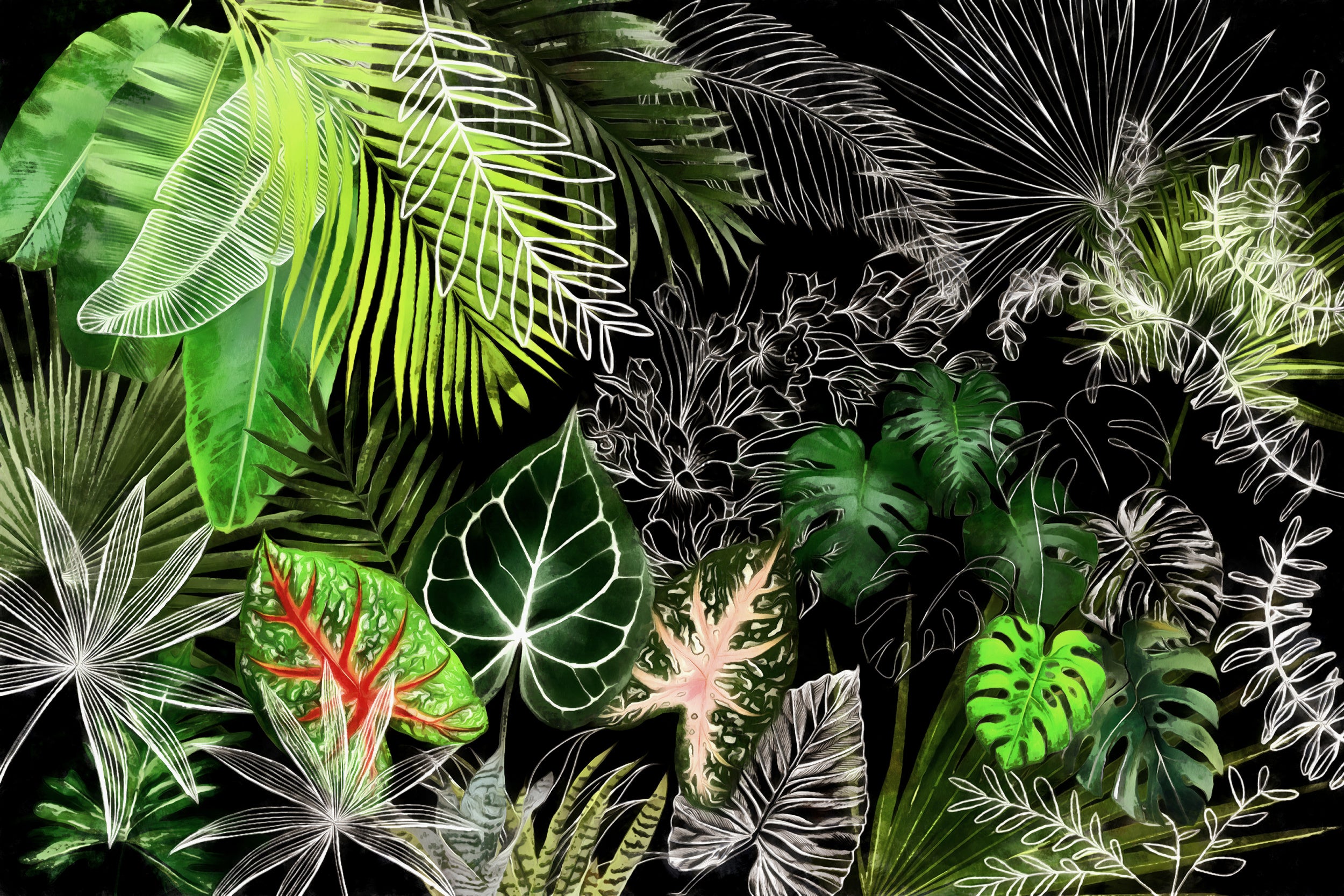 Tropical Foliage 4