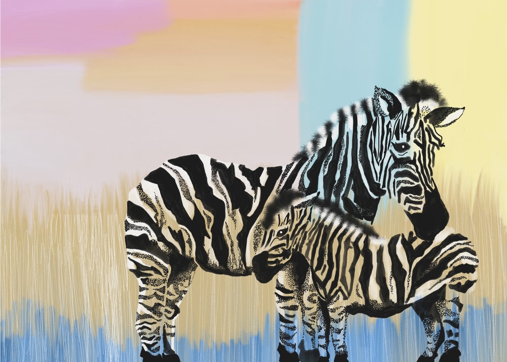 Mother Zebra And Foal