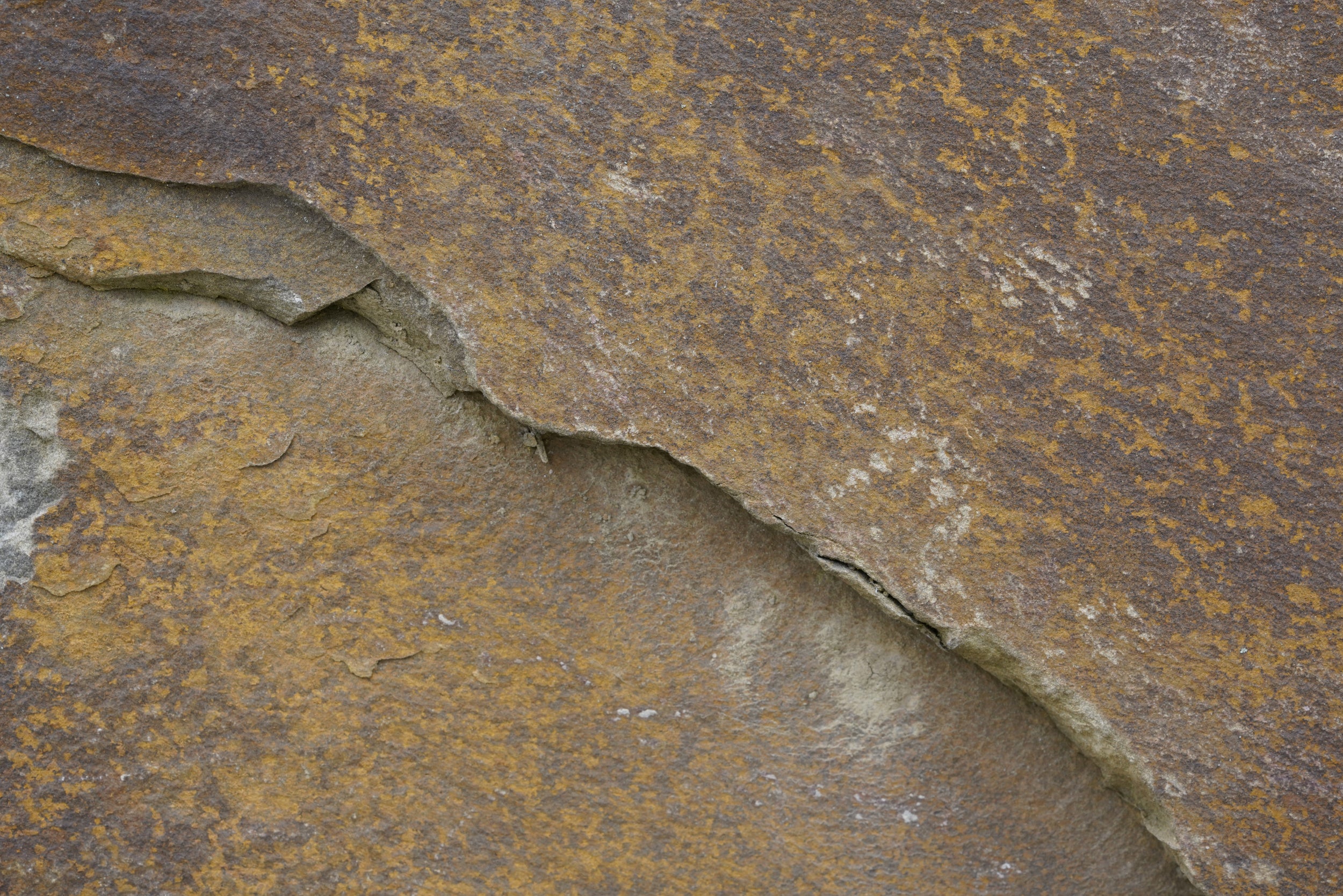 Tex Surface S25