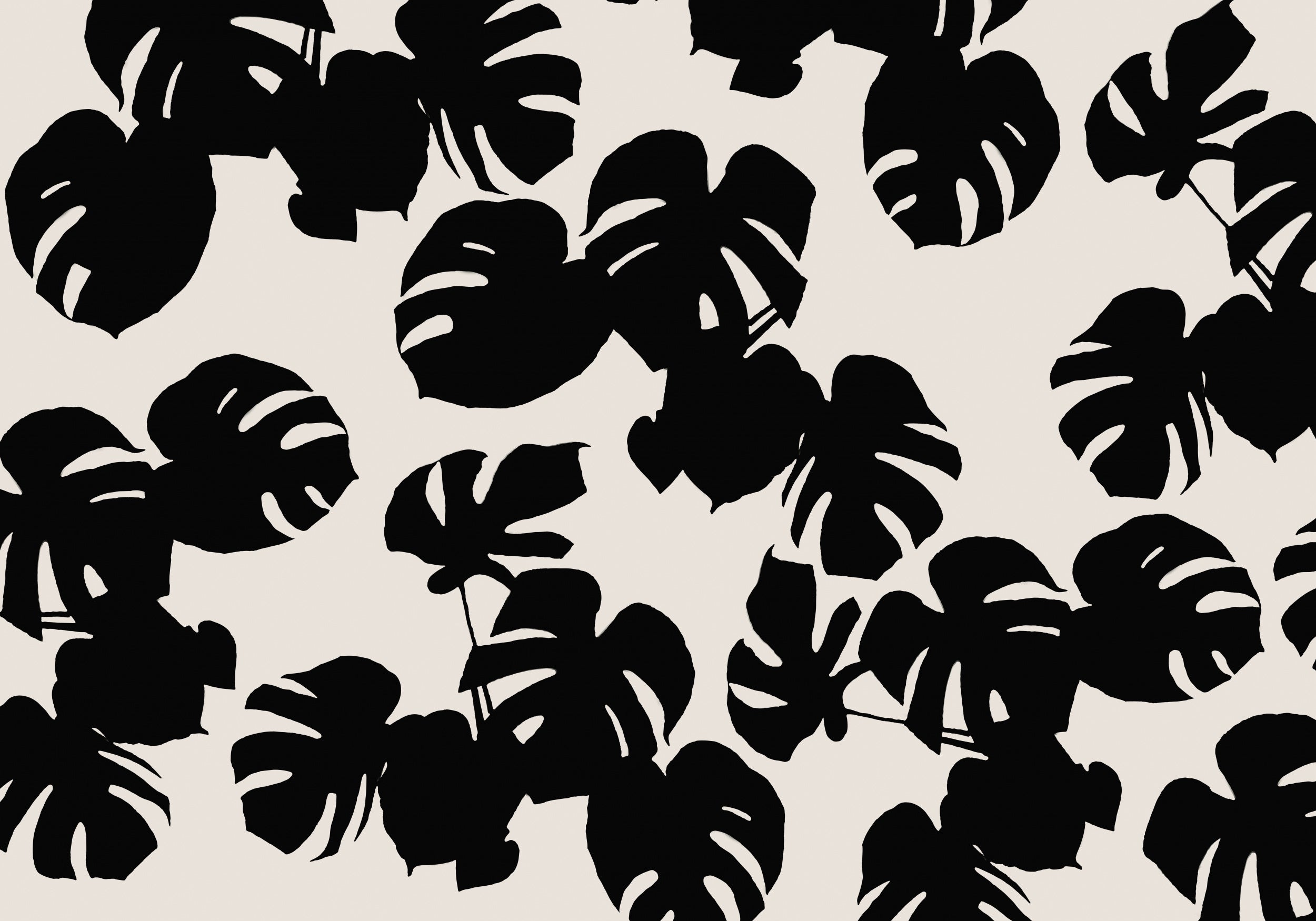 Monstera Leaves Black