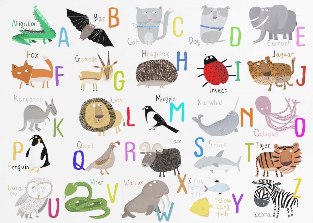 Colorful Animal Alphabet