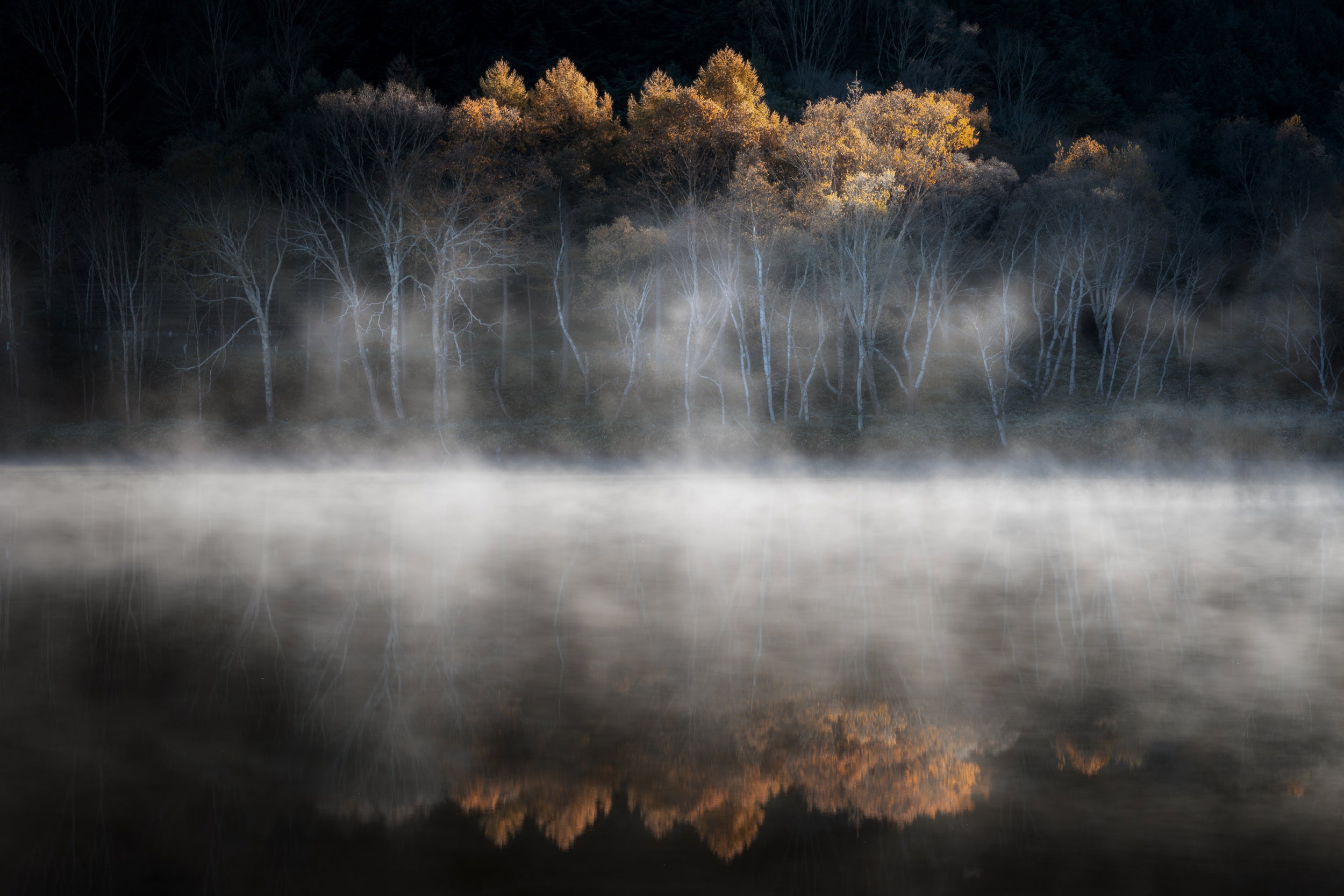 晩秋の光に誘われて
