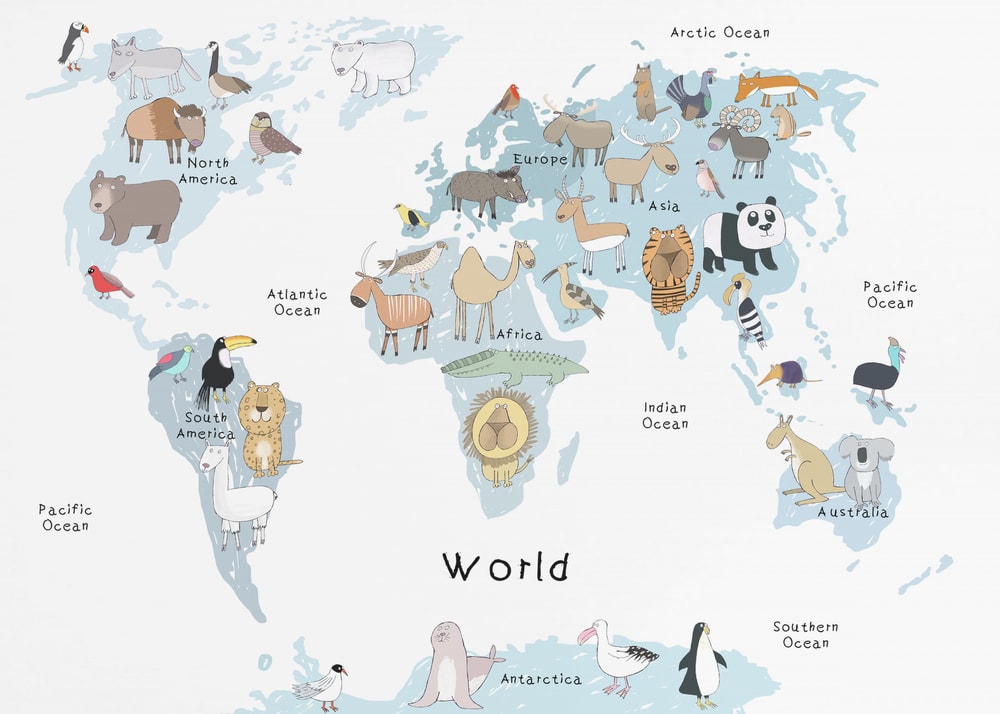 Illustrated World Animals