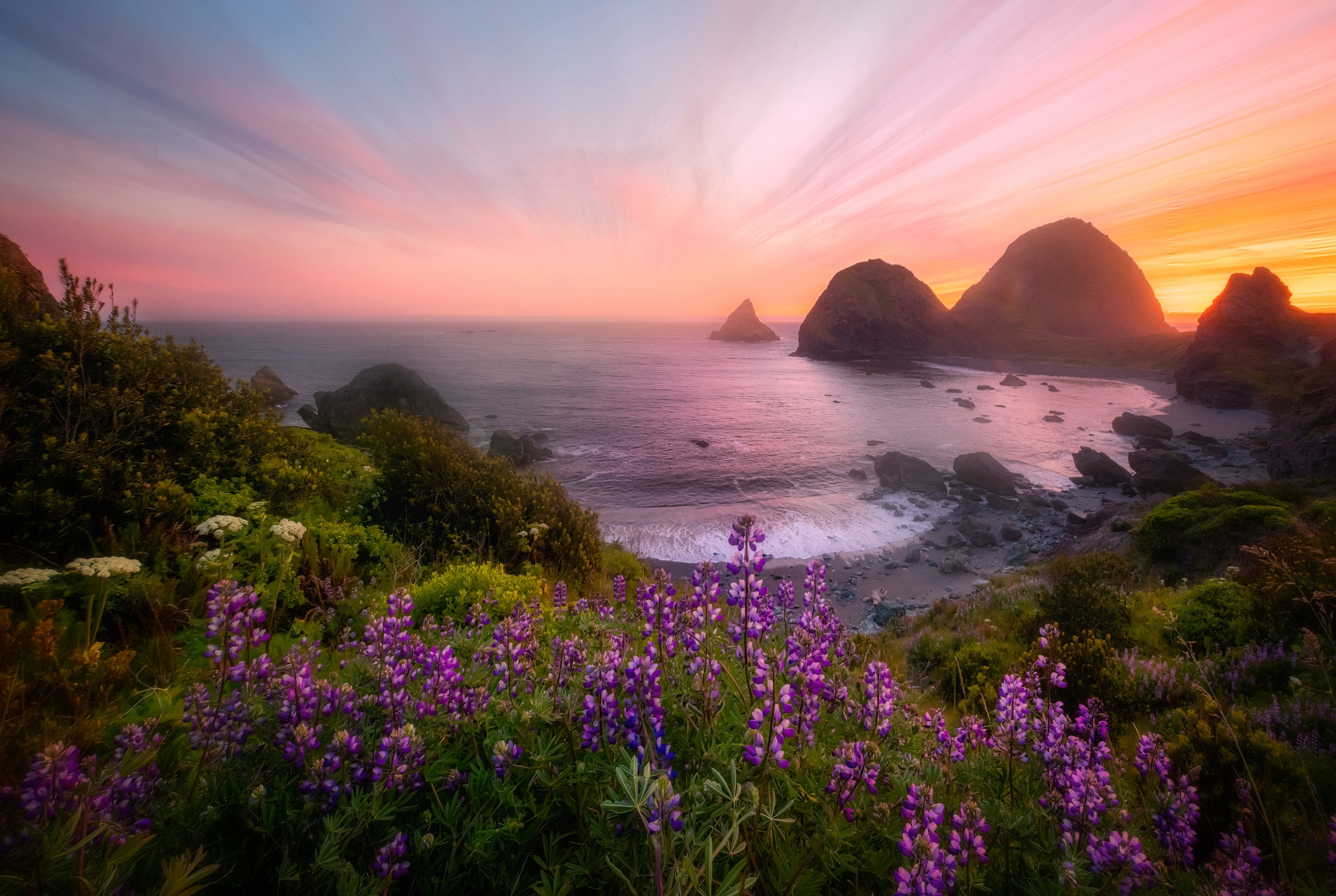Sister Rocks with Lupin Blooms