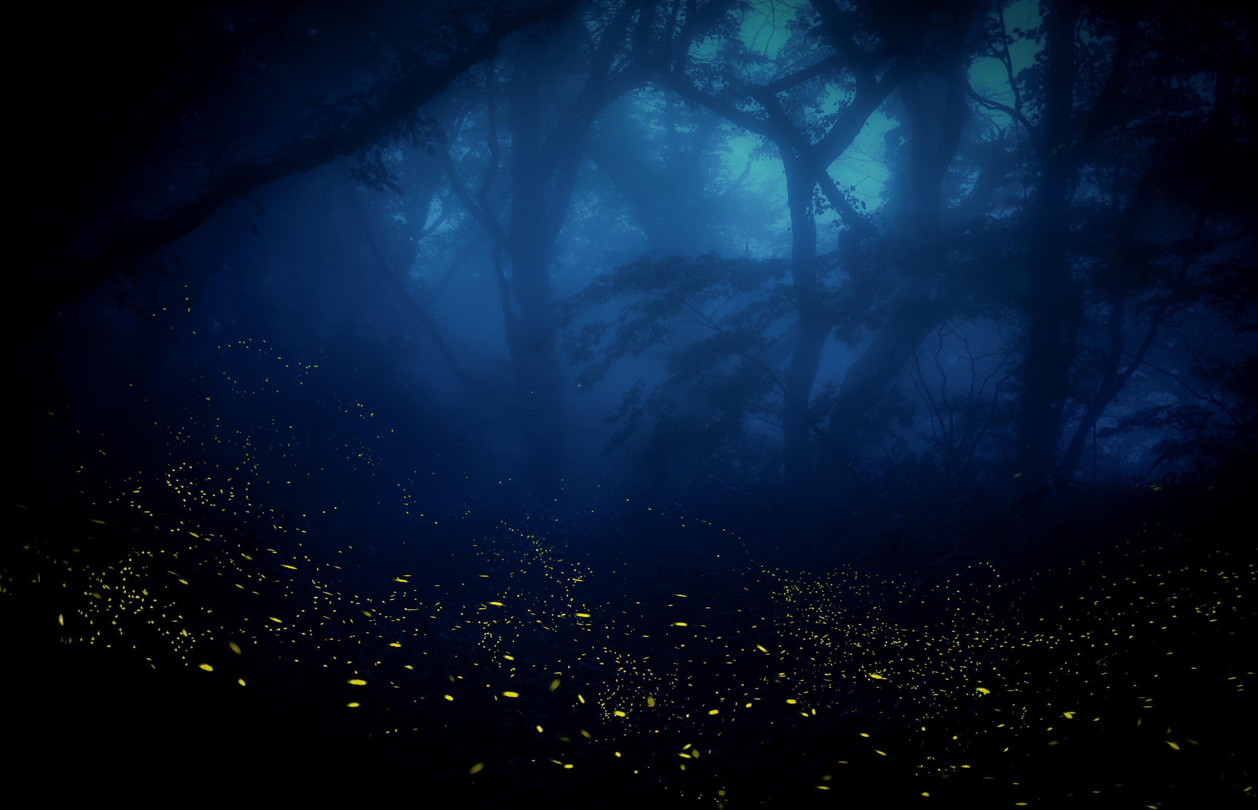 summer festival of spirits