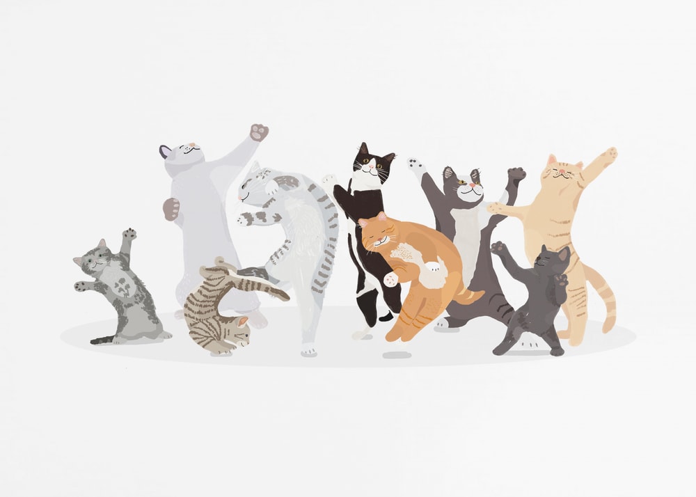 Happy Dancing Cats