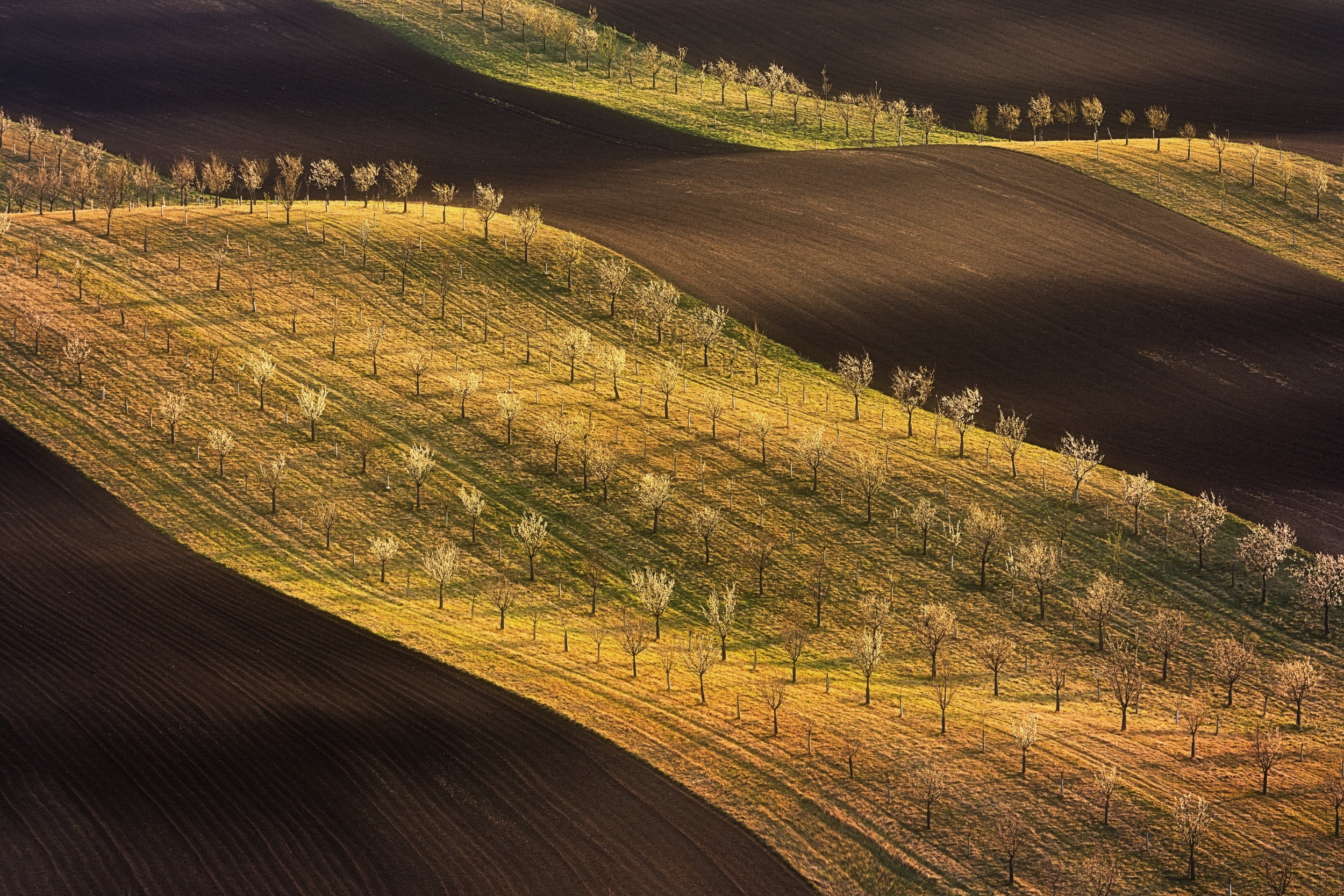 Moravian Tuscany Waves #2
