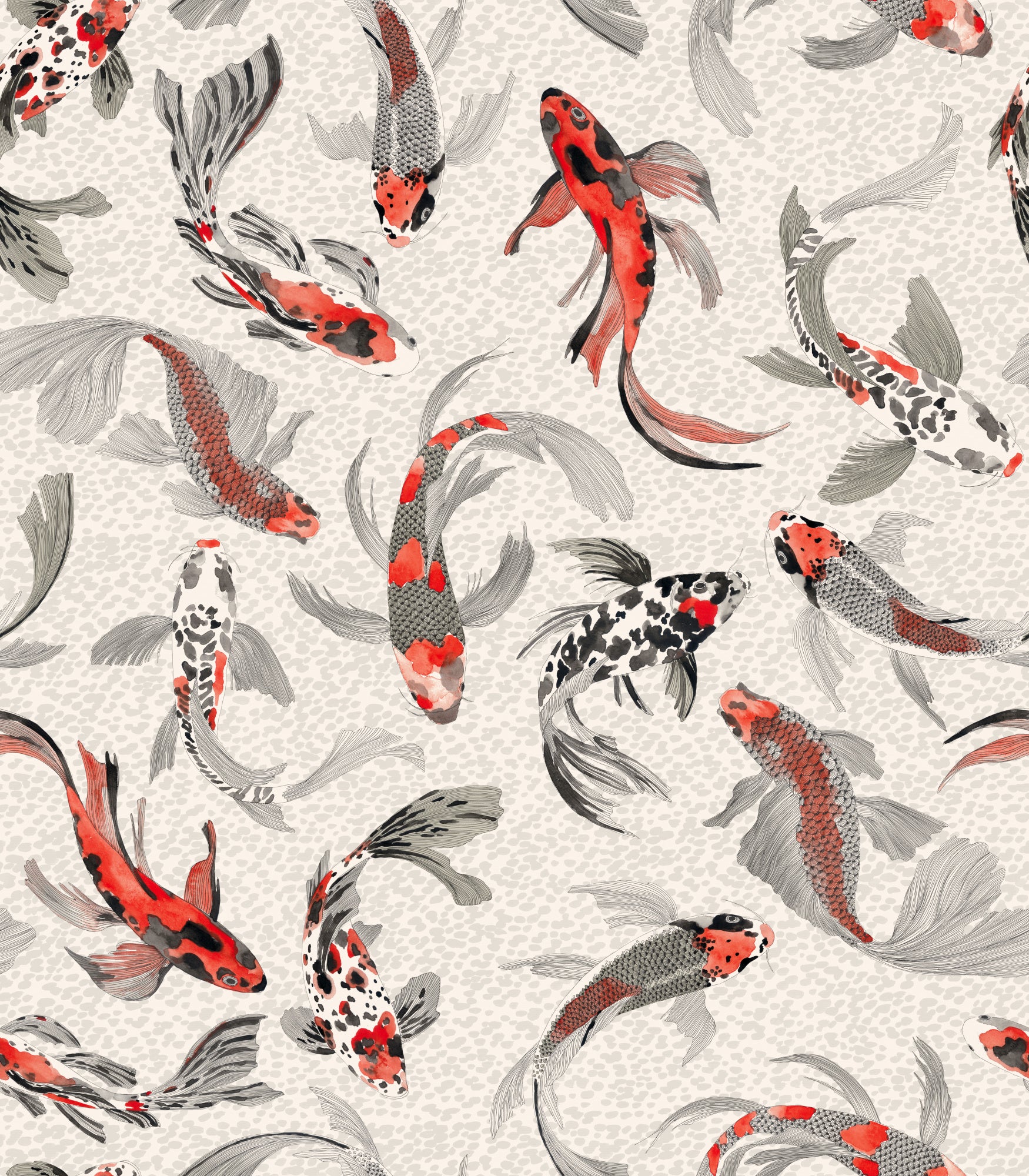 Hla2 Koi Fish Orange Grey