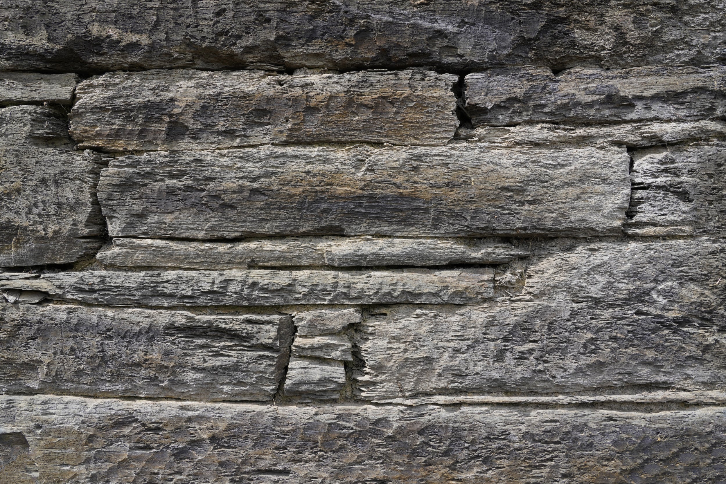 Tex Surface W6