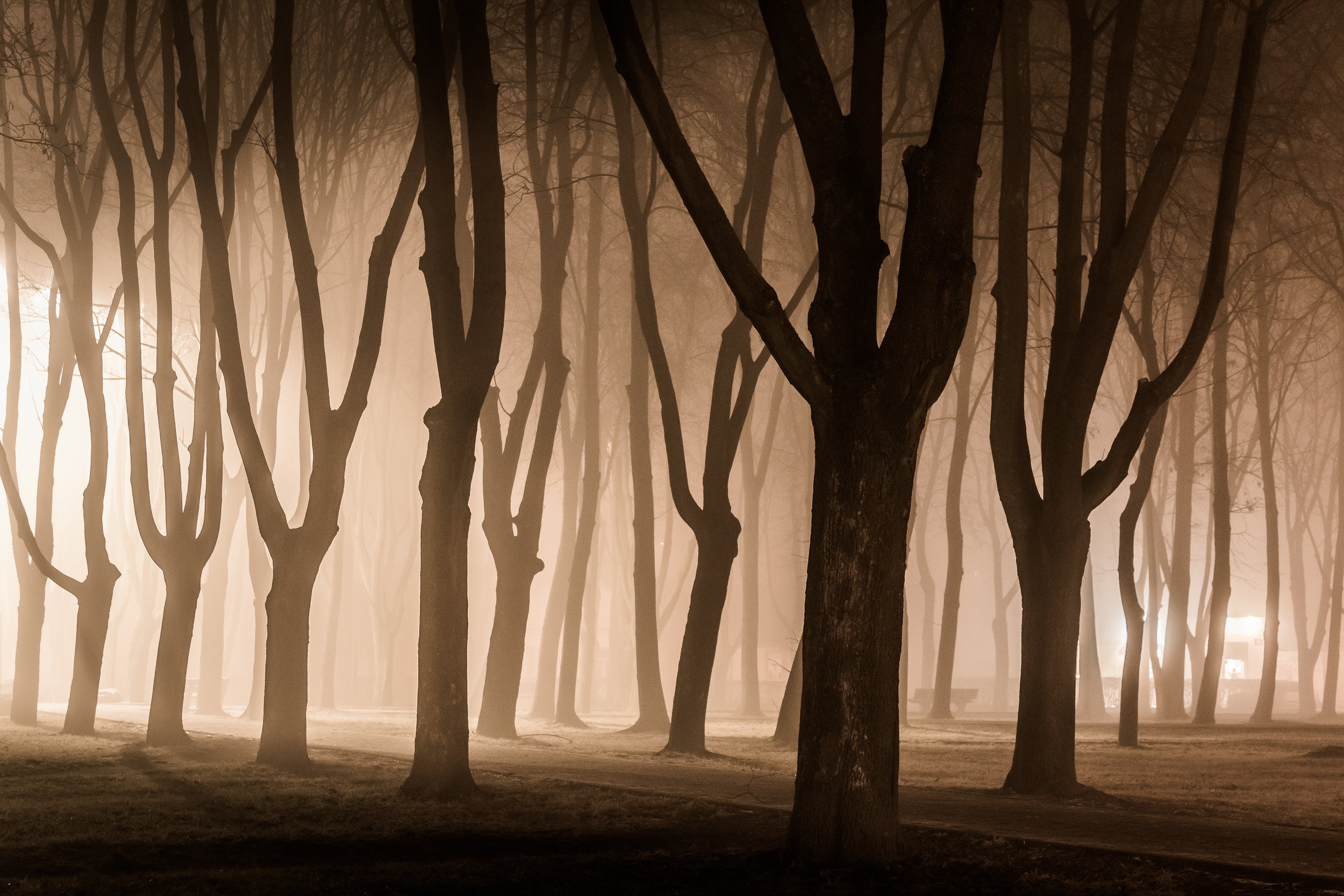 Last day of November