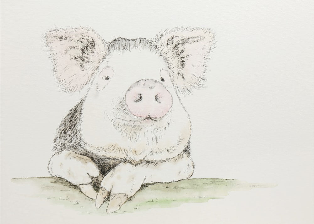 Cute Watercolor Pig