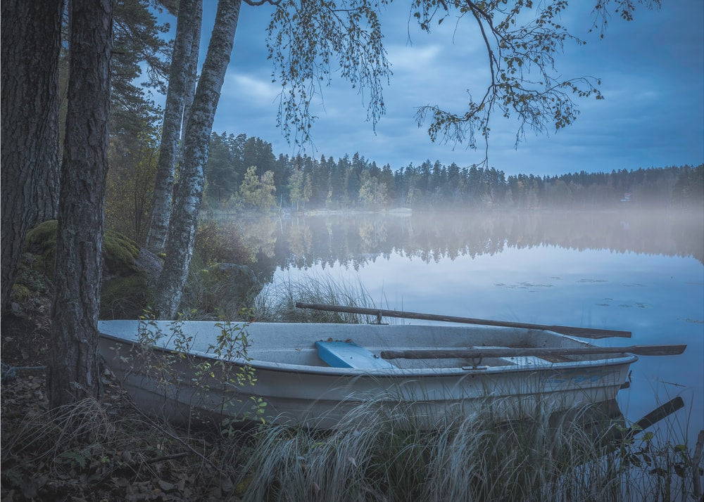 Misty Morning Rowboat
