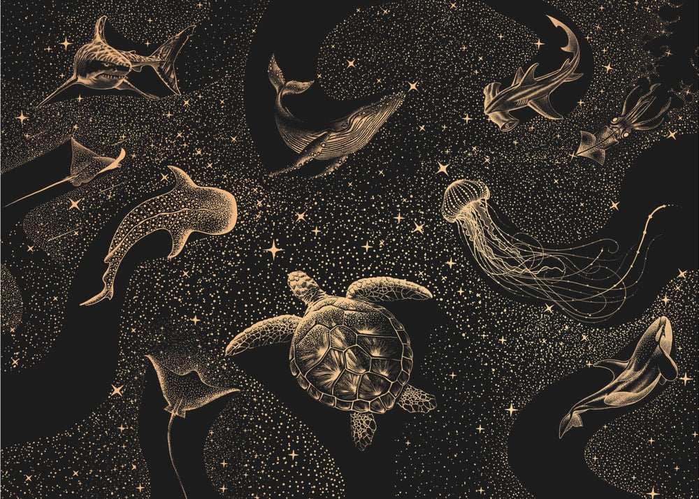 Mystic Marine Galaxy