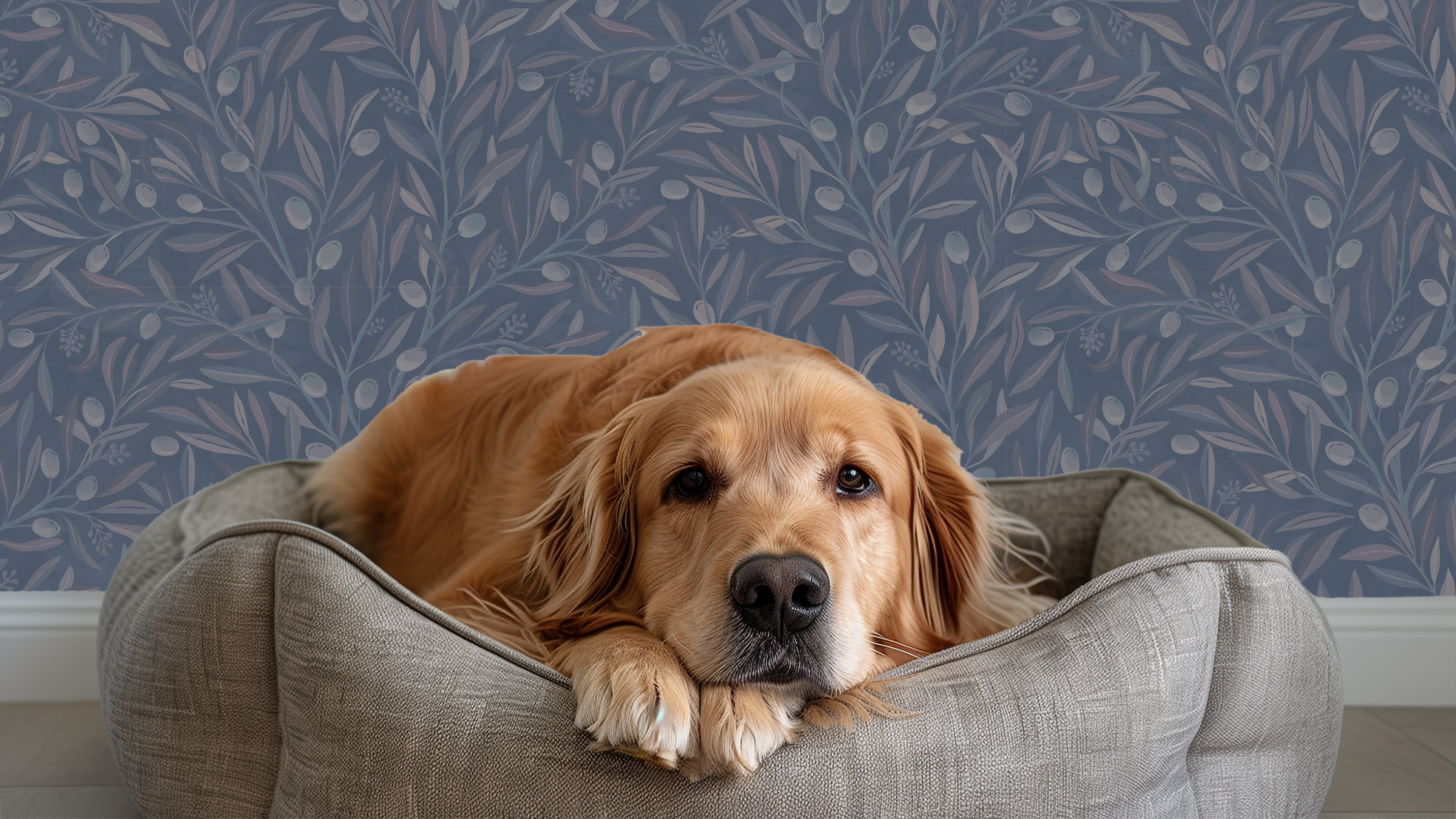 Reval Wallpaper Olivia Half Drop Midnight Blue - Elegant tapet med olivkvistar i djupa blå toner – högkvalitativ tapet för...
