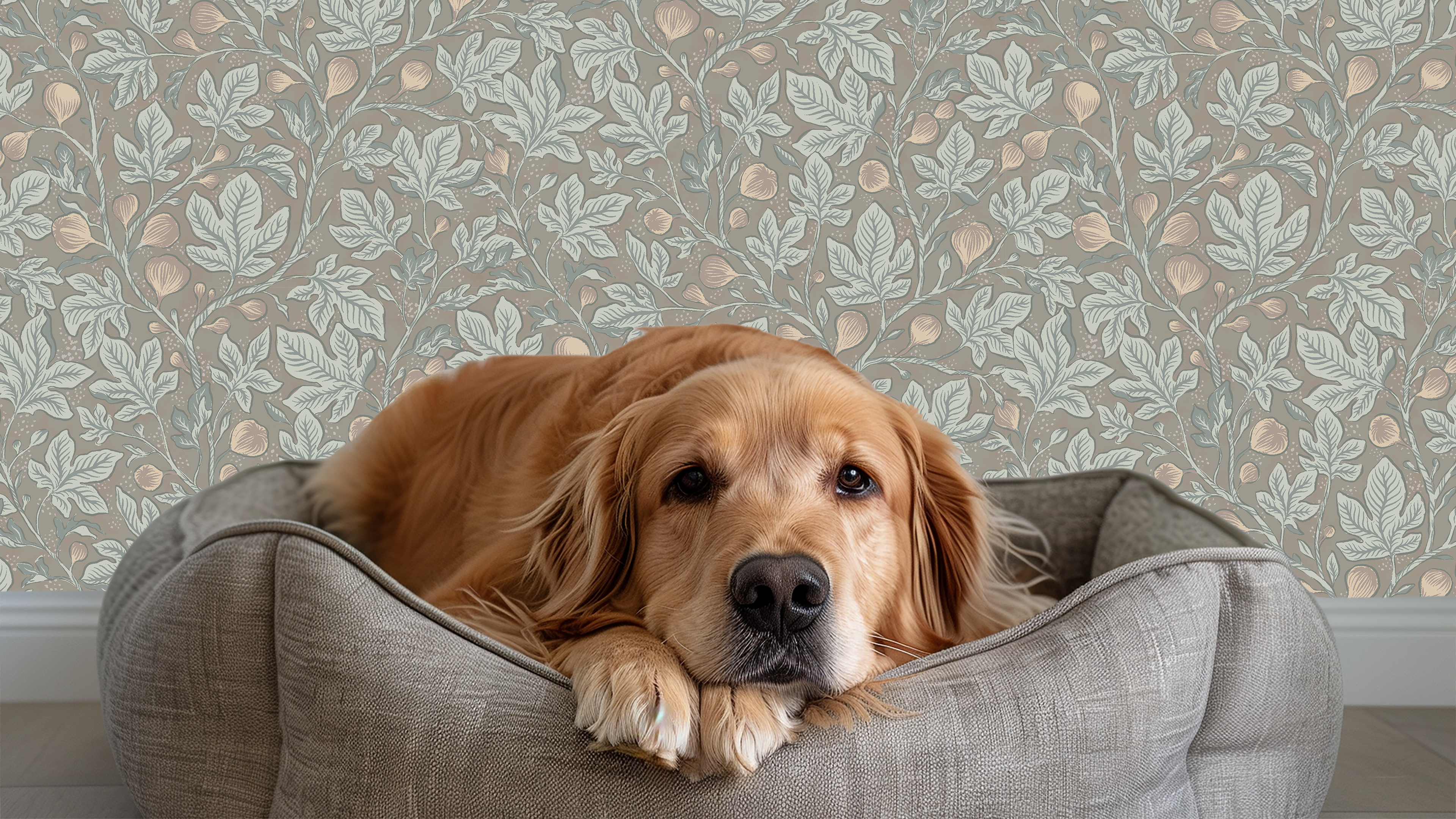 Fig Tree - Green - Naturlig tapet med fikonträd i gröna toner