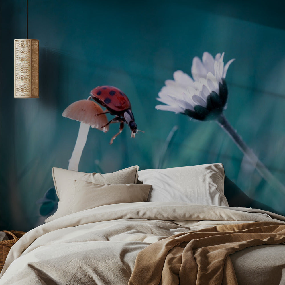 The story of the lady bug that tries to convice the mushroom to have a date with the beautiful daisy